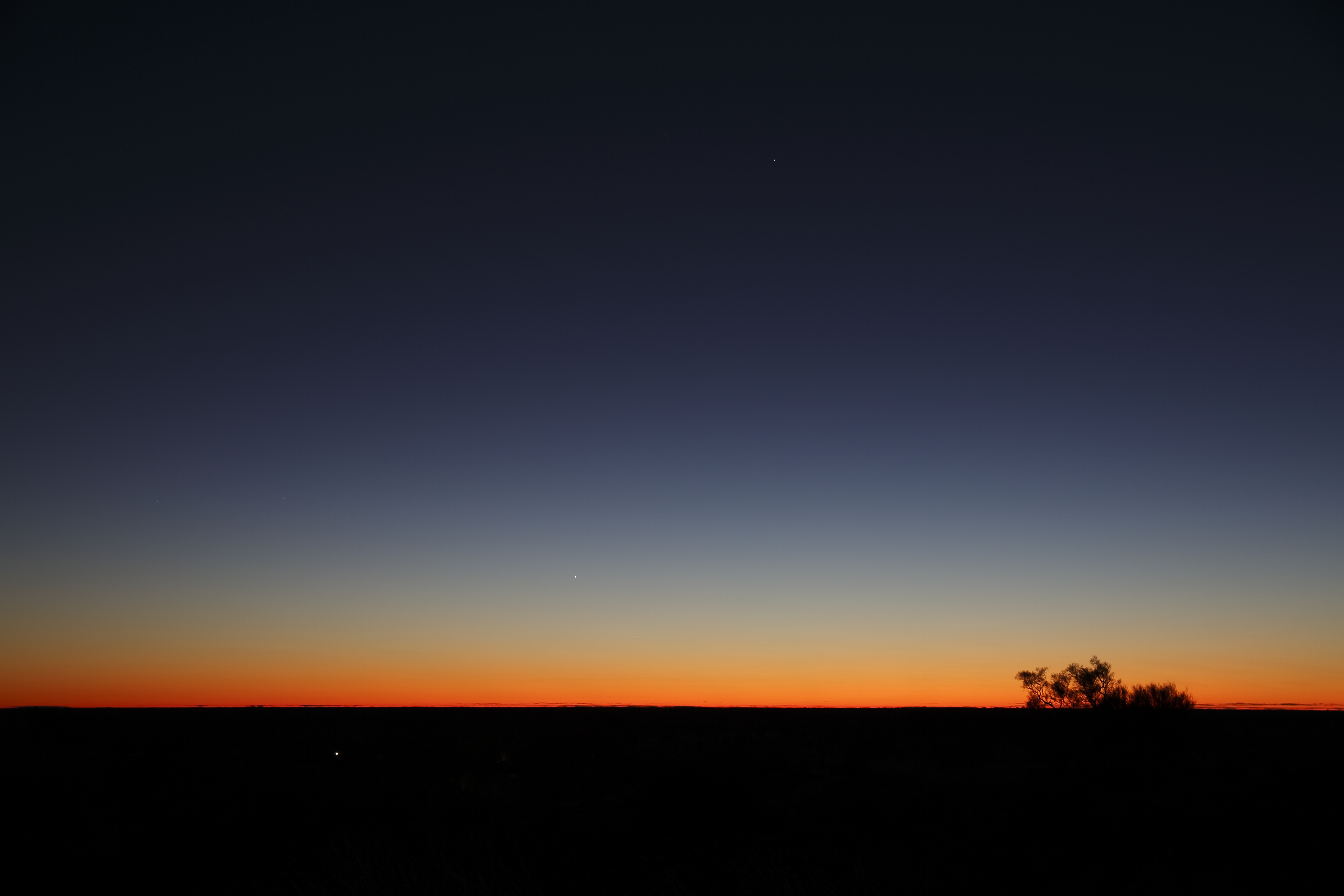 gradient, dusk, dark, sky, twilight, bush, horizon wallpaper for mobile