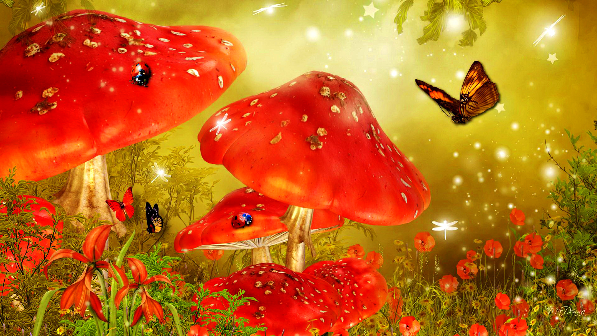 Скачать обои бесплатно Цветок, Лес, Красный, Бабочка, Гриб, Божья Коровка, Художественные картинка на рабочий стол ПК