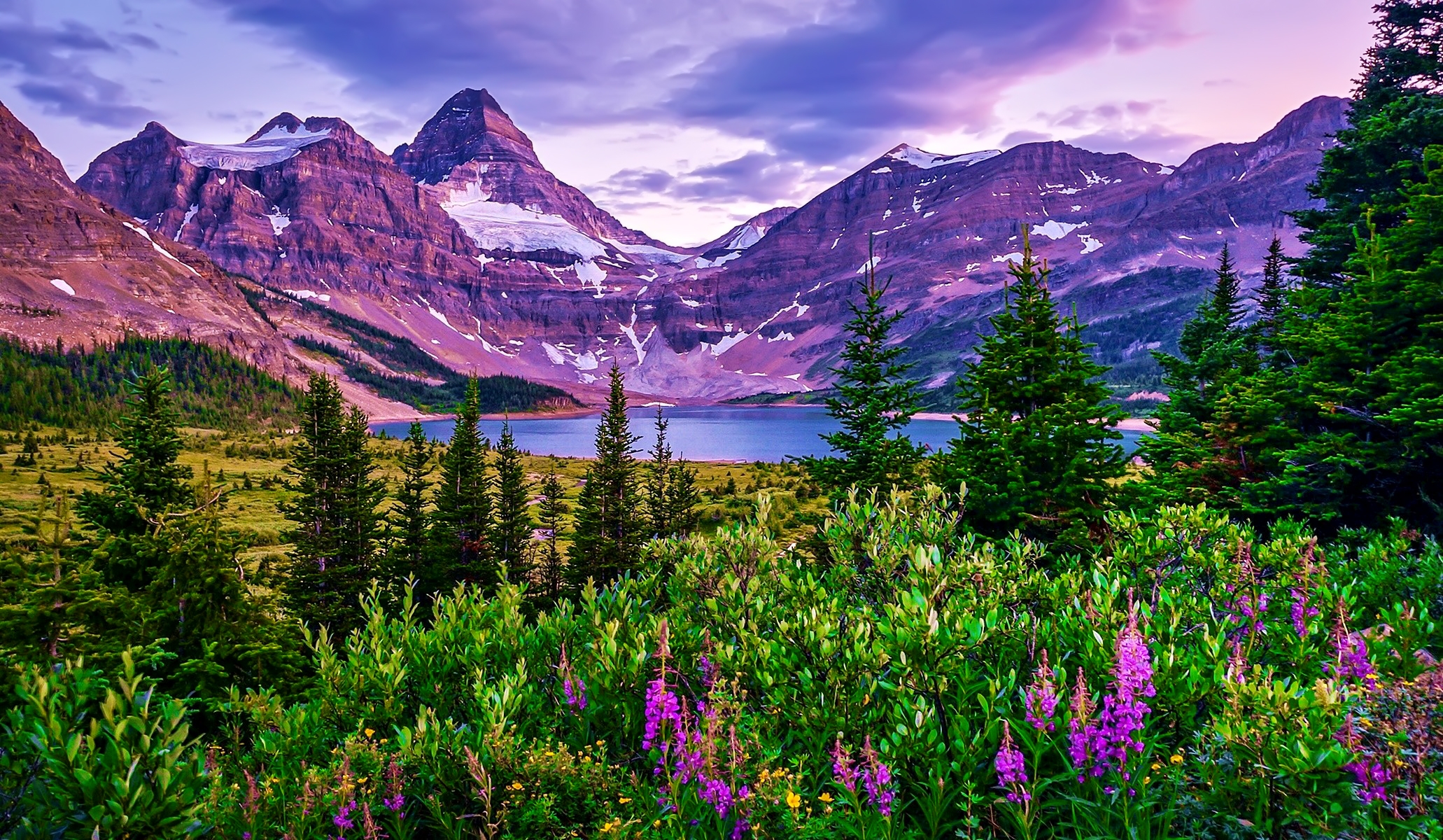 Free download wallpaper Lakes, Mountain, Lake, Flower, Forest, Tree, Earth on your PC desktop