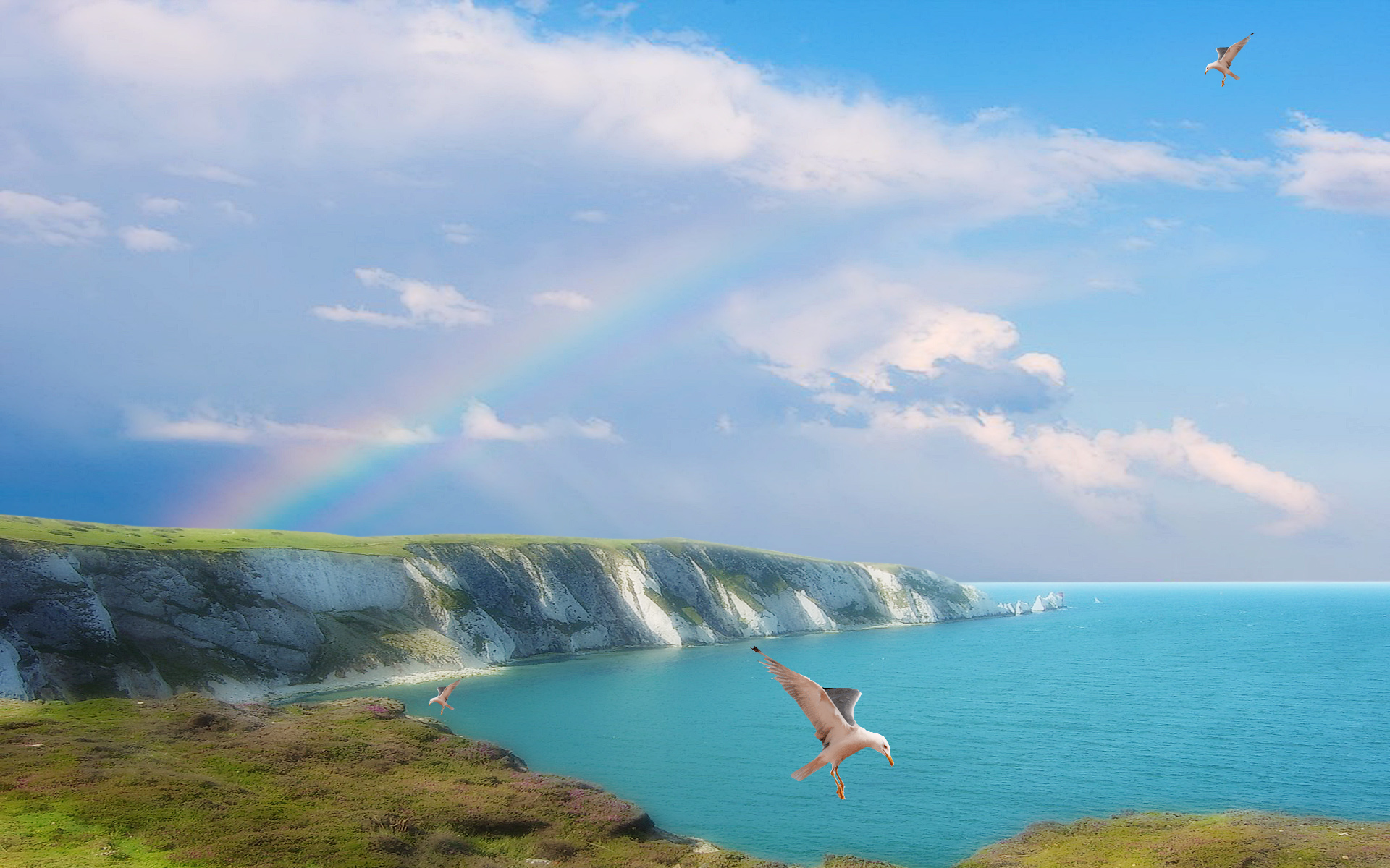 Free download wallpaper Birds, Fantasy, Coast, Ocean, Cliff, Animal, Seagull on your PC desktop
