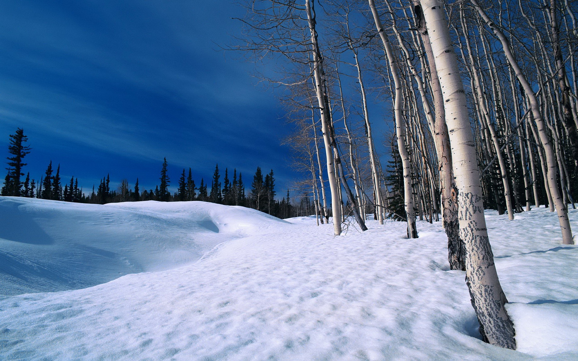 Descarga gratuita de fondo de pantalla para móvil de Invierno, Tierra/naturaleza.