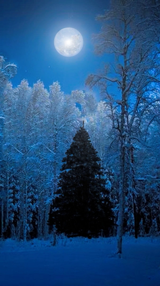 Download mobile wallpaper Winter, Moon, Forest, Tree, Holiday, Christmas Tree for free.