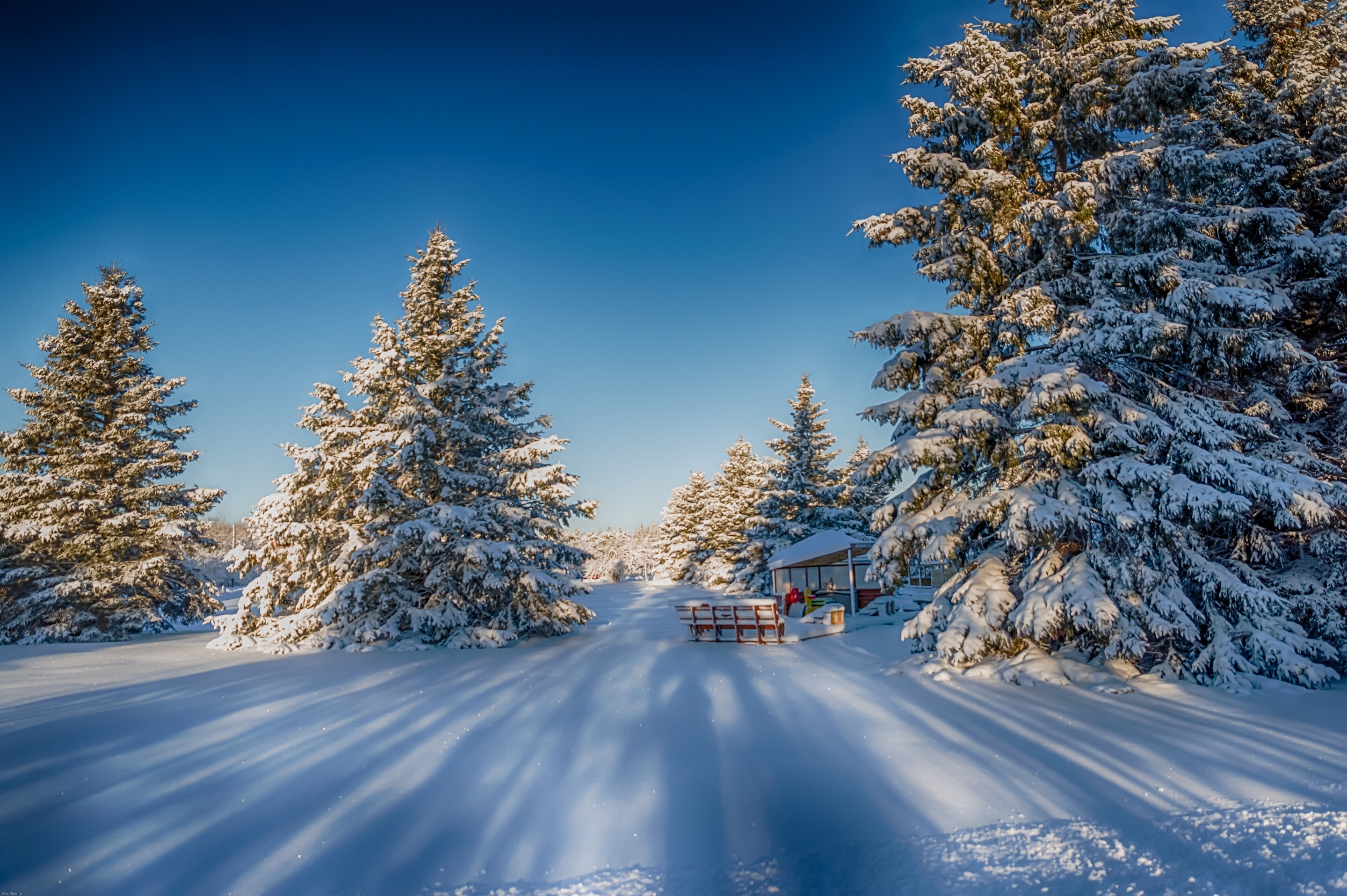 Descarga gratuita de fondo de pantalla para móvil de Invierno, Nieve, Árbol, Tierra, Fotografía.