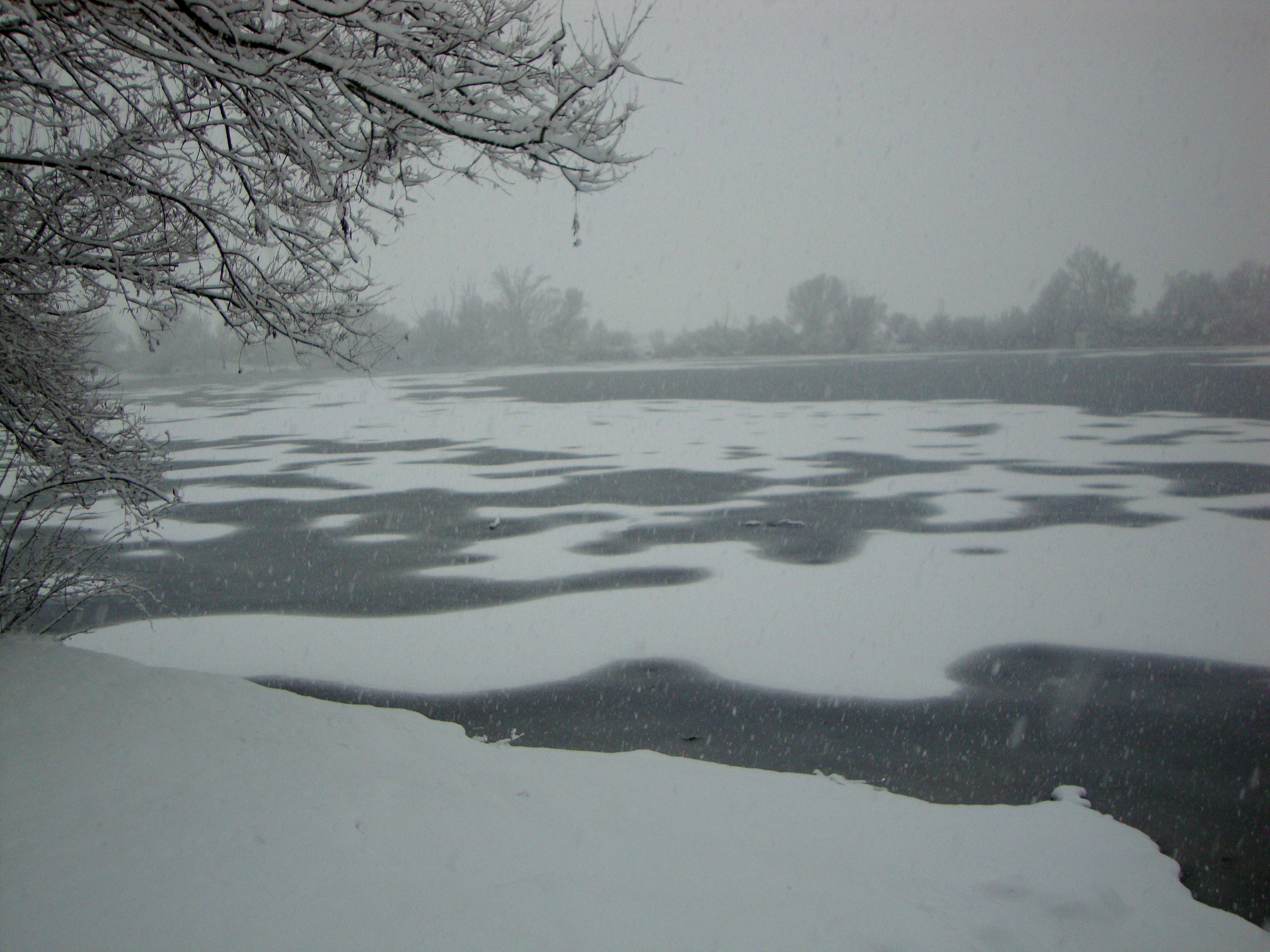 Descarga gratis la imagen Invierno, Naturaleza, Tierra/naturaleza en el escritorio de tu PC