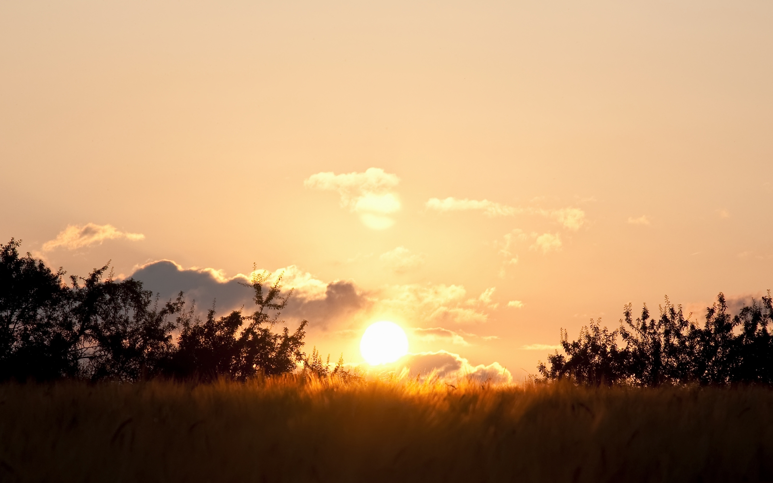 Laden Sie das Sonnenuntergang, Sonne, Erde/natur-Bild kostenlos auf Ihren PC-Desktop herunter