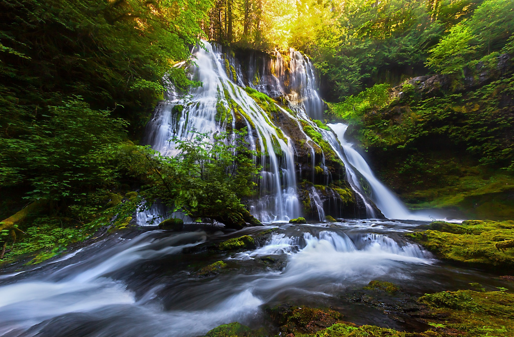 Baixe gratuitamente a imagem Cachoeiras, Floresta, Corrente, Terra/natureza, Cachoeira na área de trabalho do seu PC