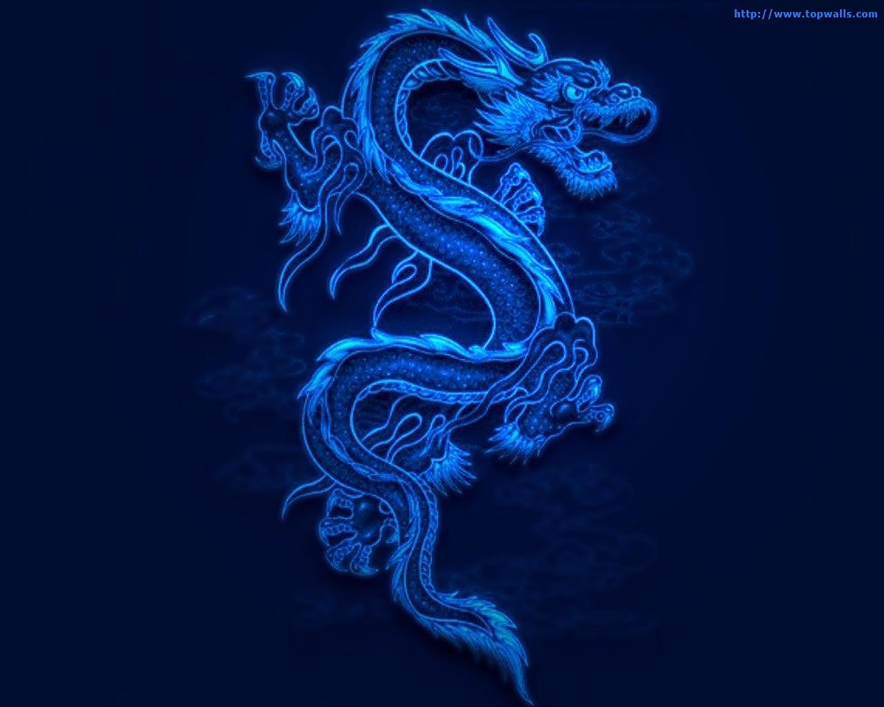 dragons, pictures, animals, blue