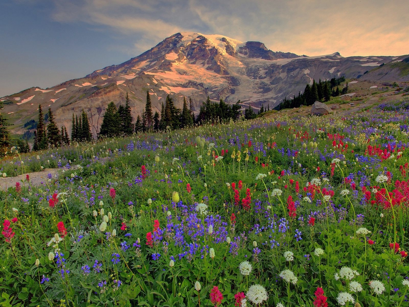 Free download wallpaper Landscape, Flowers, Mountains on your PC desktop