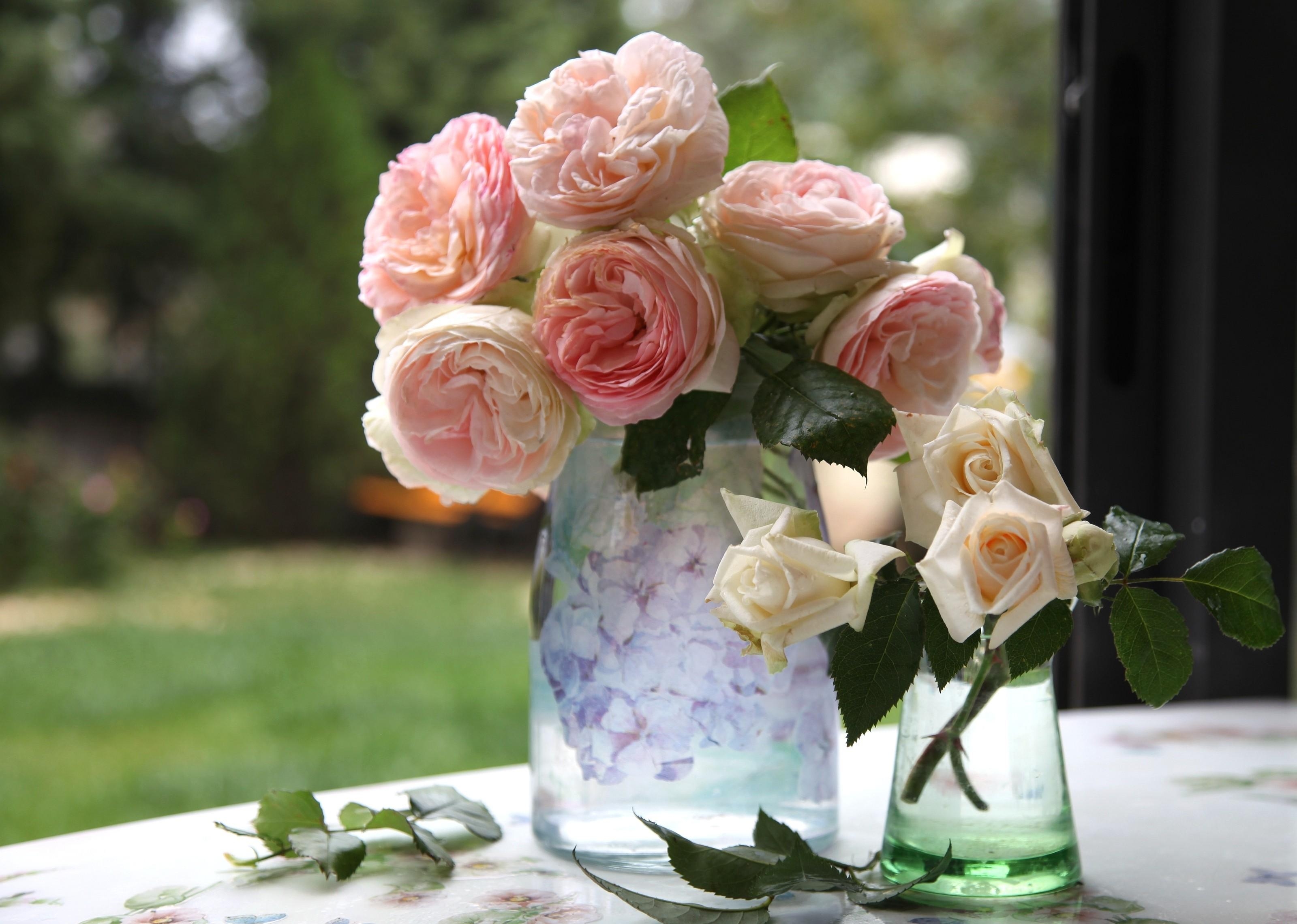 88284 скачать картинку розы, букет, цветы, ваза, садовые - обои и заставки бесплатно