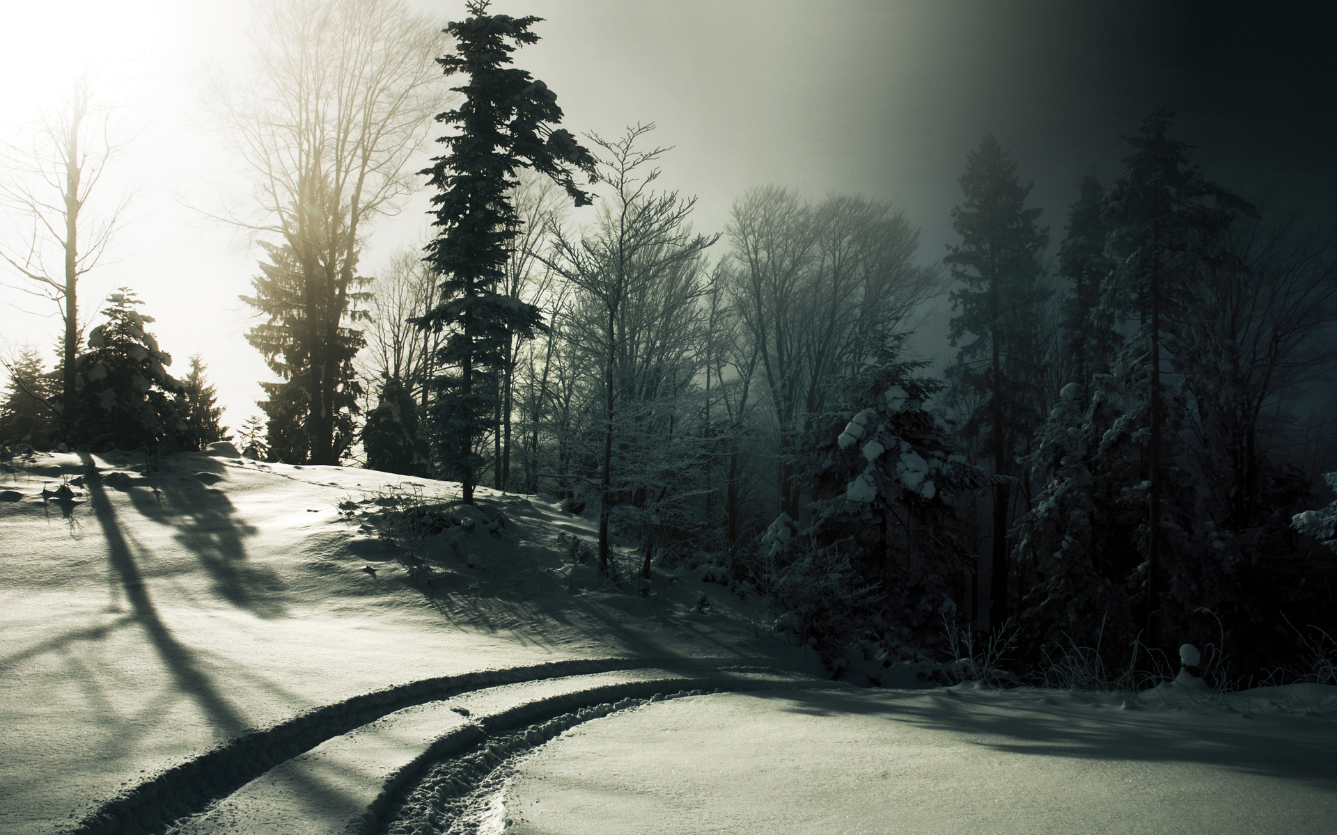 Descarga gratuita de fondo de pantalla para móvil de Invierno, Tierra/naturaleza.