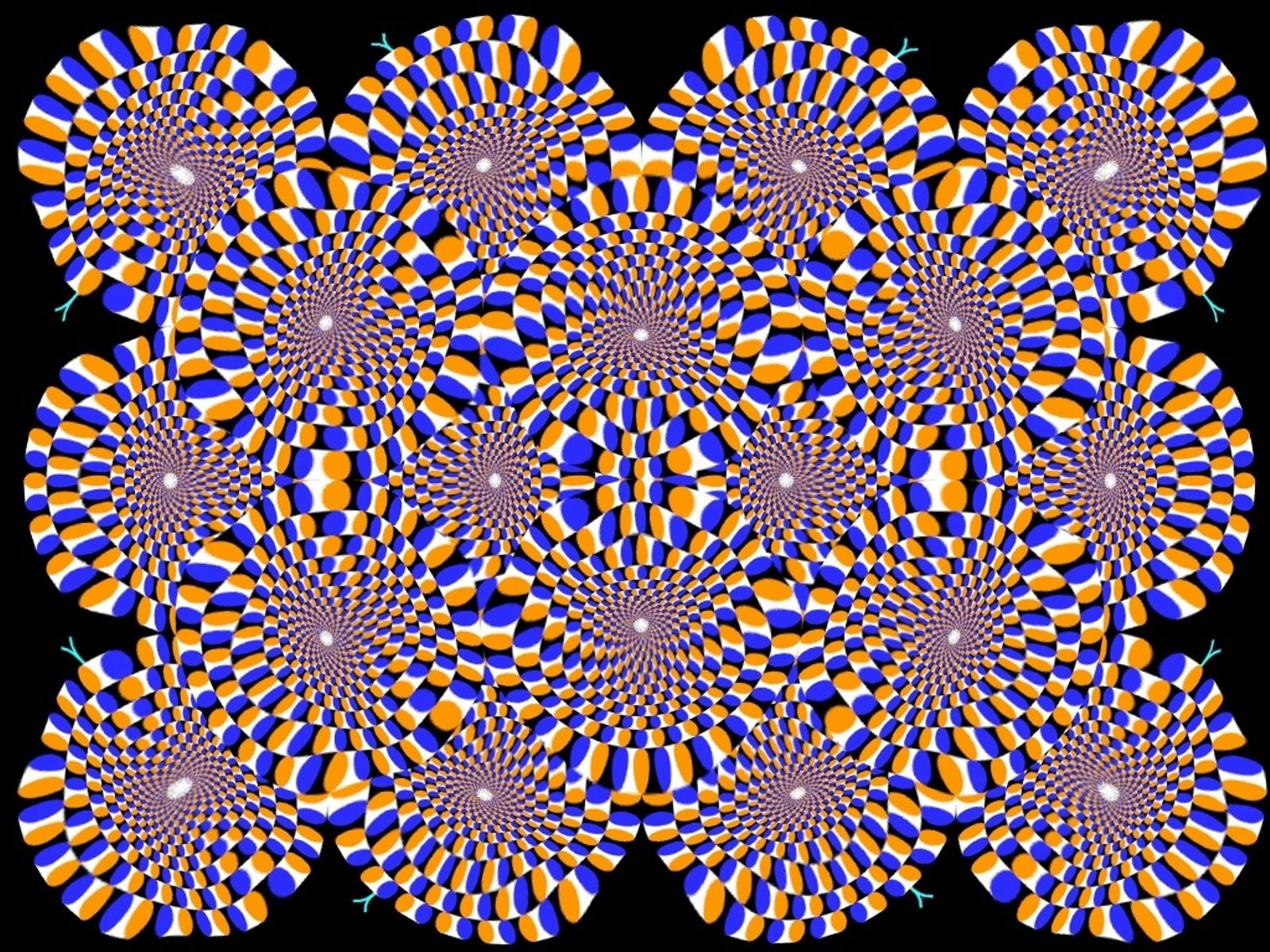 Популярные заставки и фоны Оптическая Иллюзия на компьютер