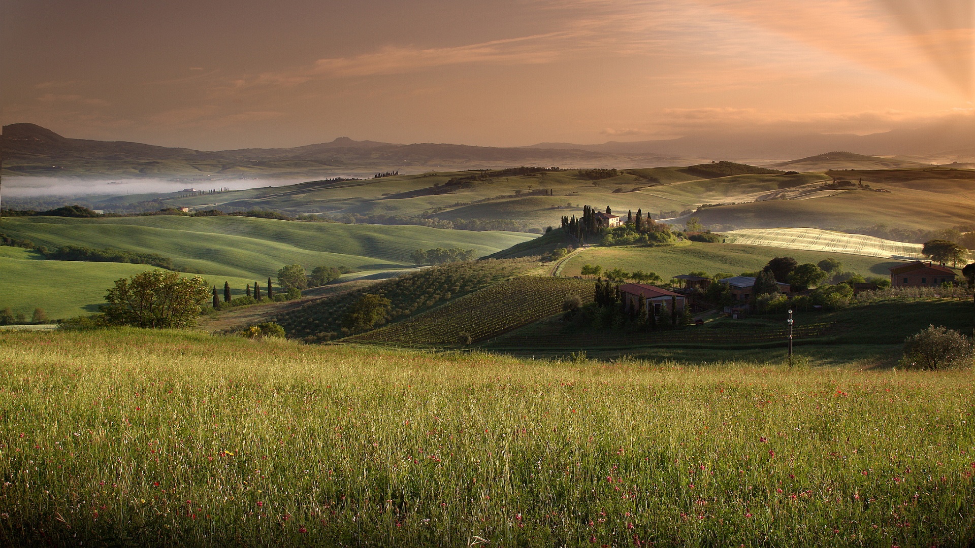 Handy-Wallpaper Feld, Erde/natur kostenlos herunterladen.