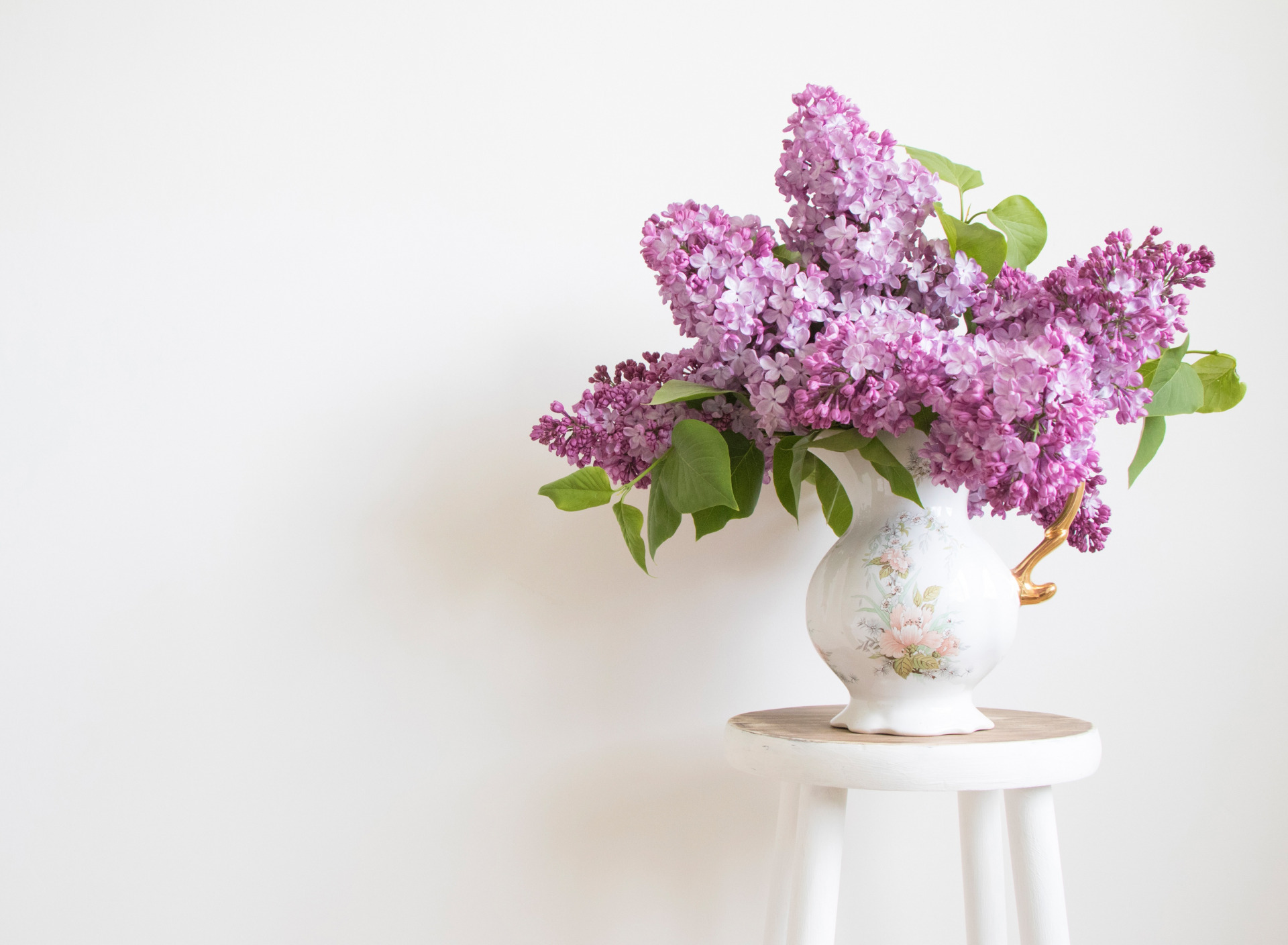 Download mobile wallpaper Lilac, Still Life, Flower, Photography, Pitcher for free.