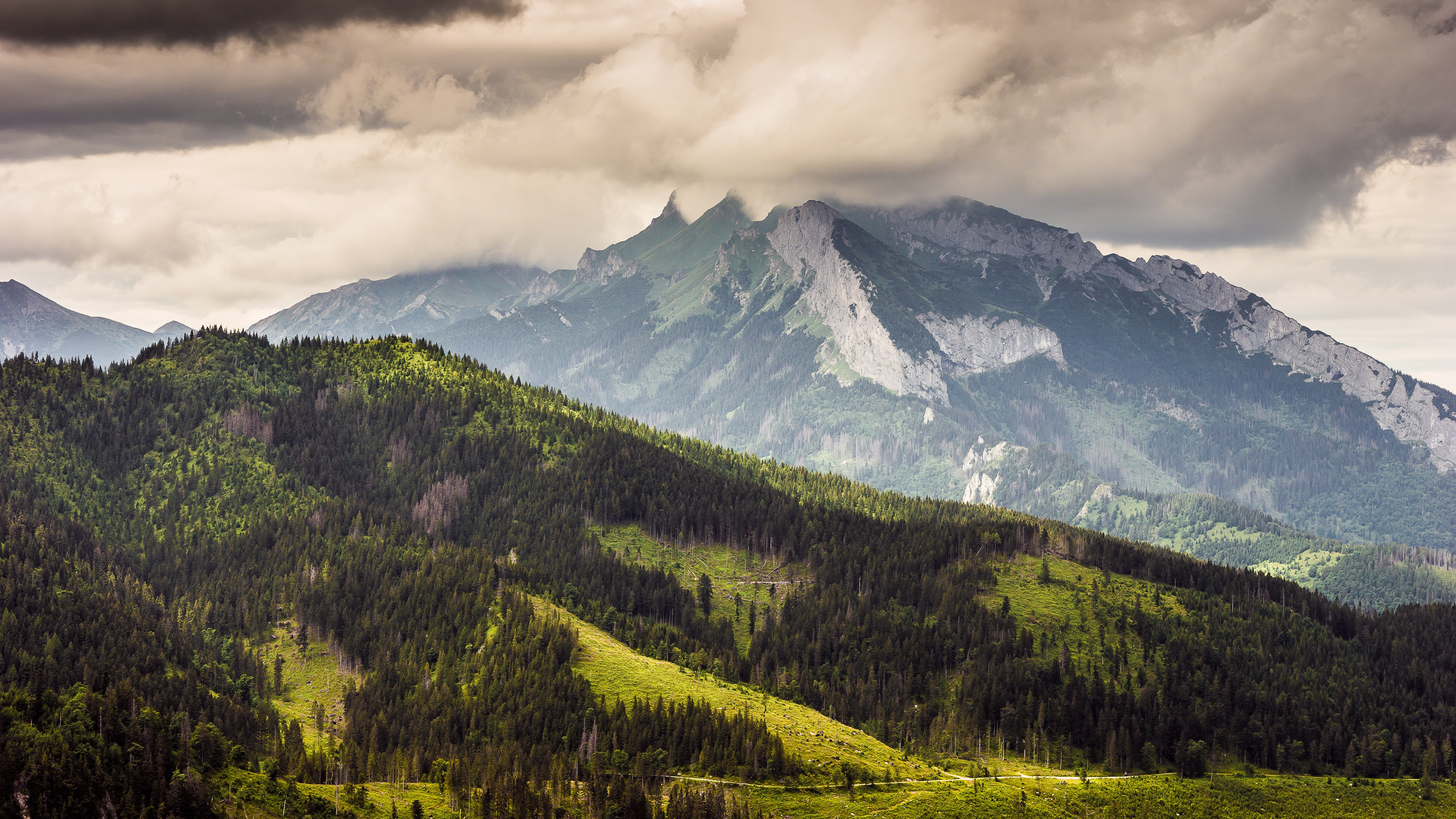 Laden Sie das Wald, Hügel, Gebirge, Wolke, Berge, Erde/natur-Bild kostenlos auf Ihren PC-Desktop herunter