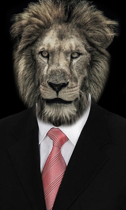 Download mobile wallpaper Lion, Animal, Tie, Suit, Humor, Manipulation for free.