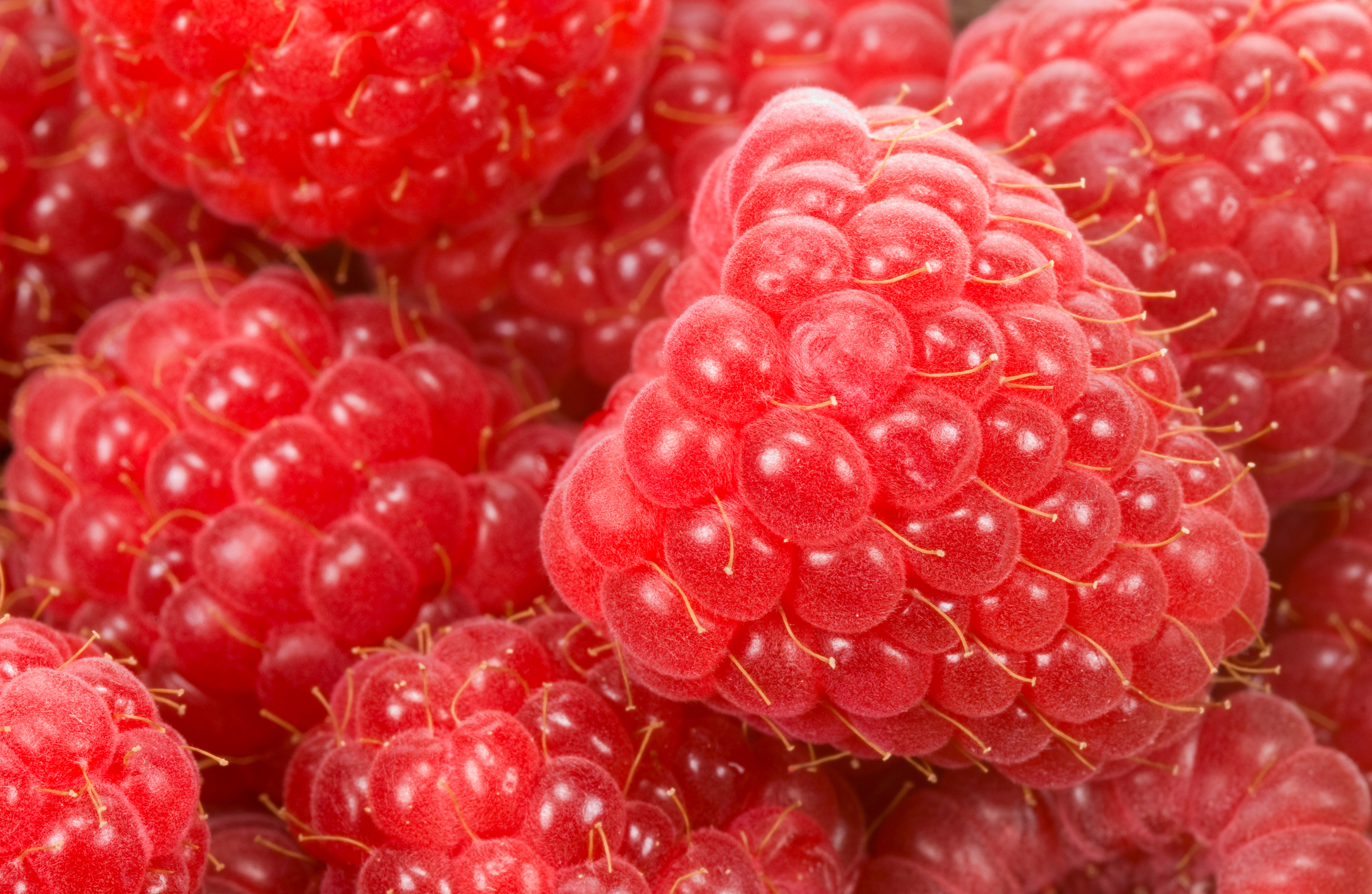 Download mobile wallpaper Fruits, Food, Raspberry for free.