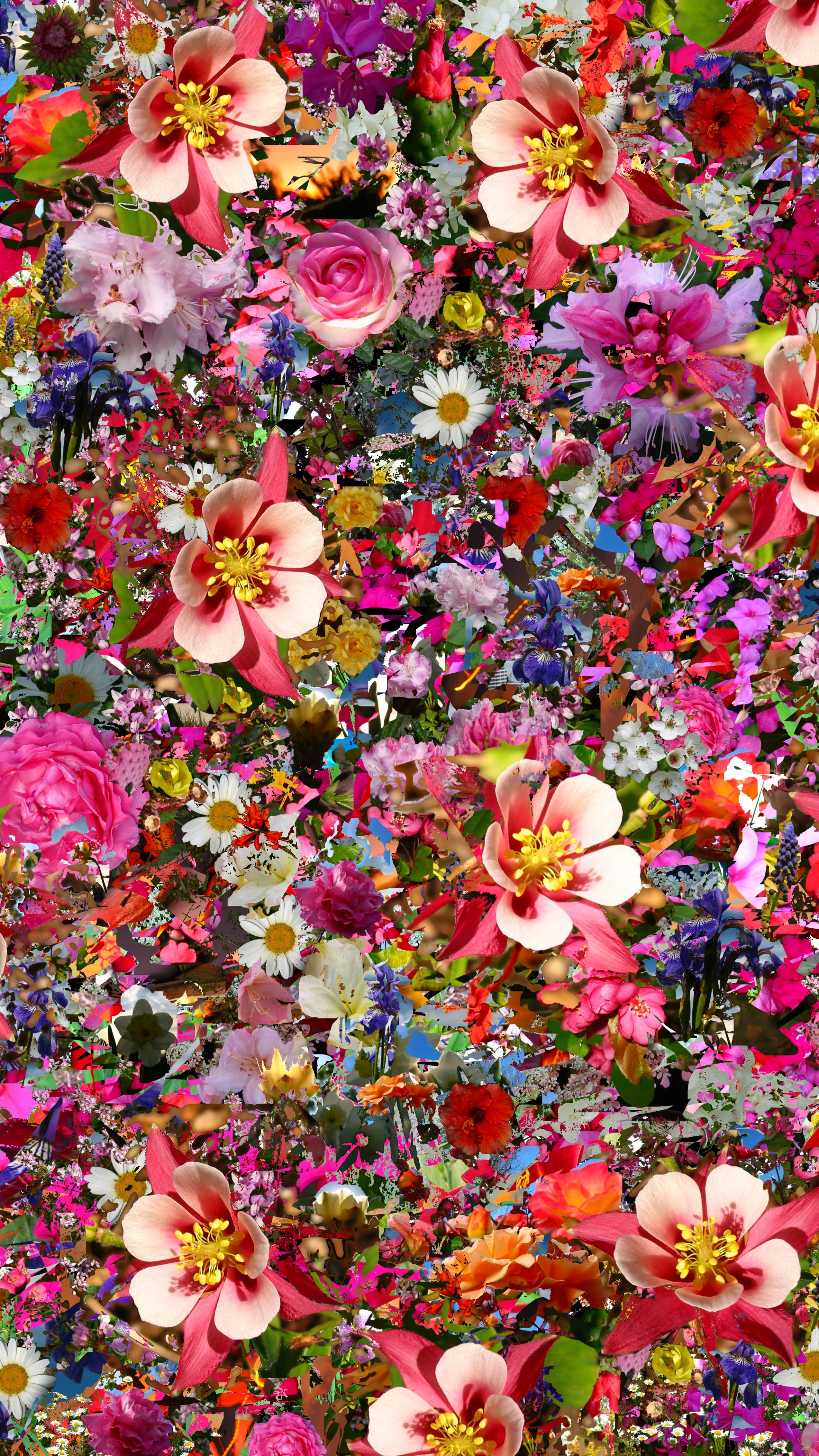 Handy-Wallpaper Blumen, Blume, Farben, Bunt, Künstlerisch kostenlos herunterladen.