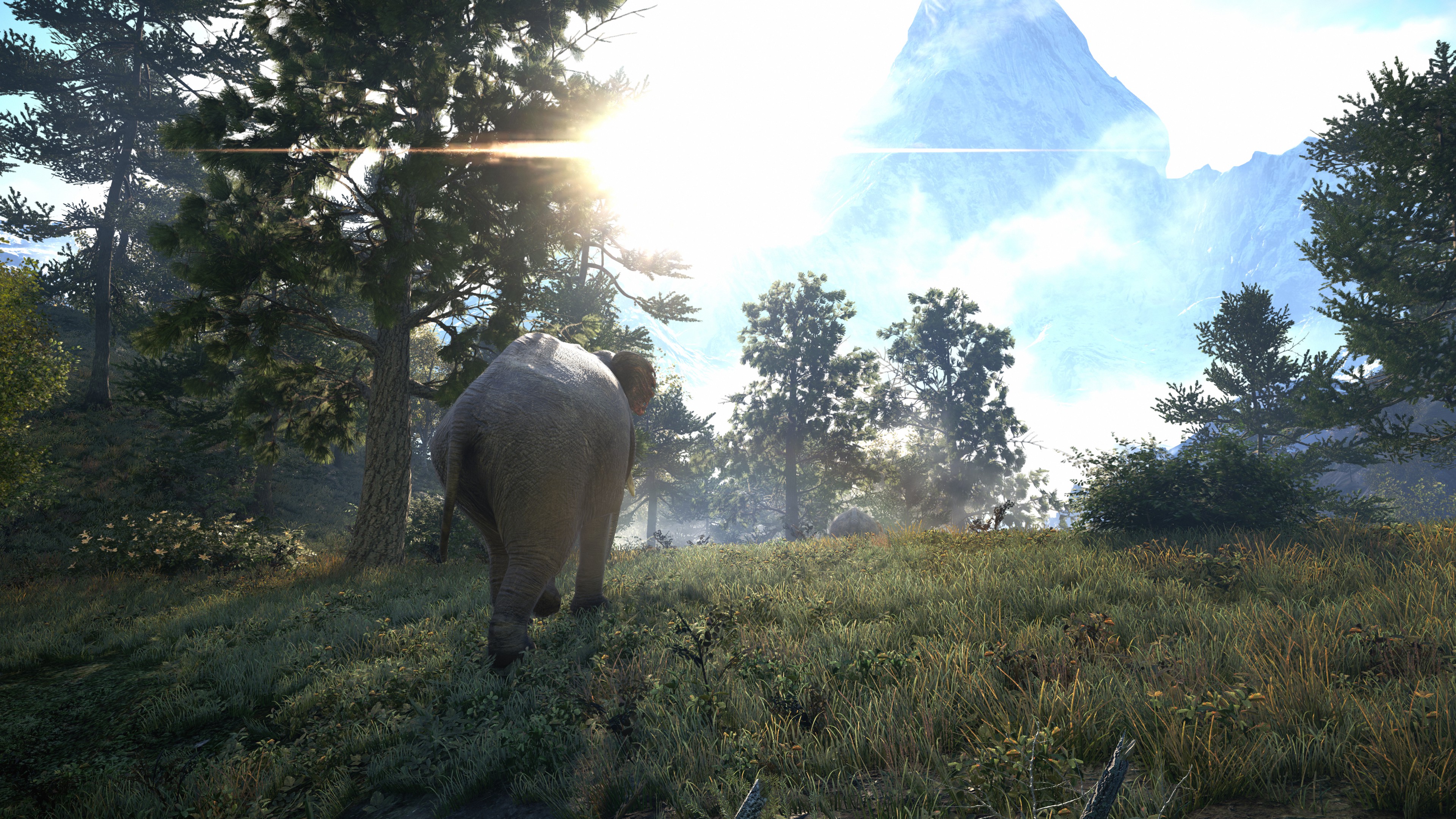 Free download wallpaper Elephant, Video Game, Far Cry, Far Cry 4 on your PC desktop