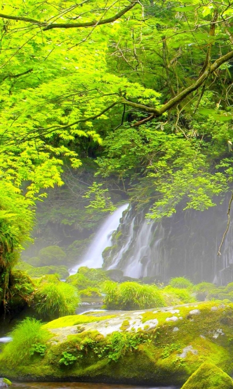 Handy-Wallpaper Natur, Wasserfälle, Wasserfall, Moos, Erde/natur kostenlos herunterladen.