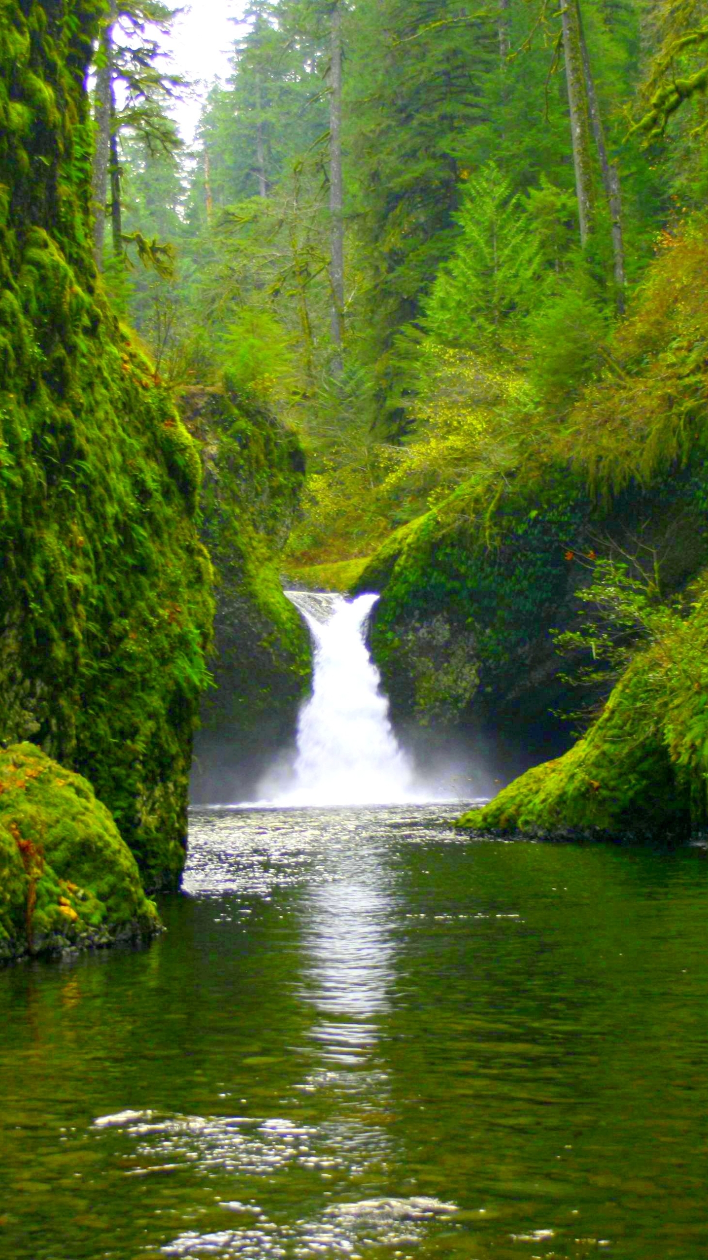 Handy-Wallpaper Wasserfälle, Wasserfall, Wald, Baum, Erde, Teich, Erde/natur kostenlos herunterladen.