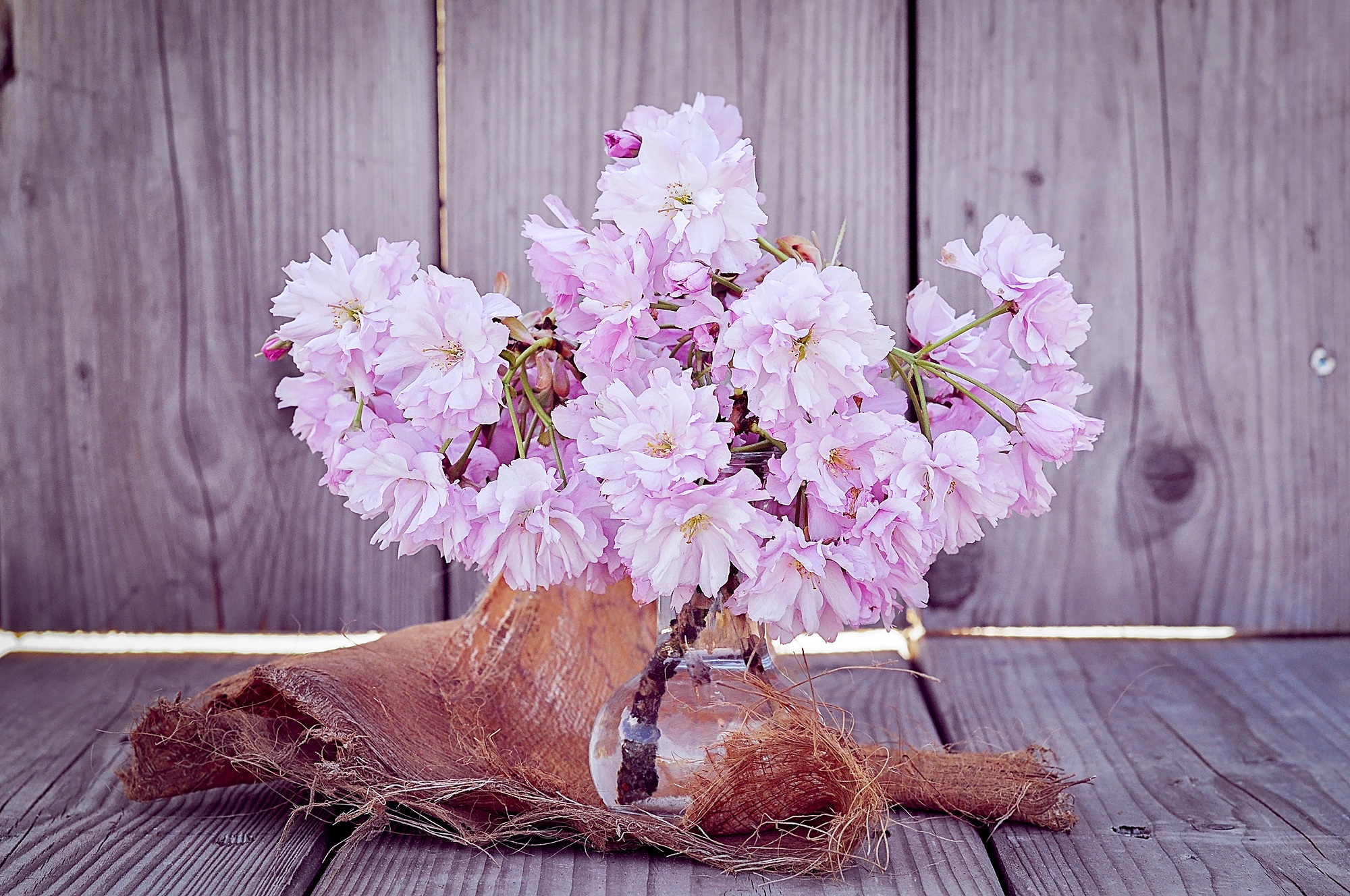 Download mobile wallpaper Vase, Flowers, Bouquet, Sakura for free.
