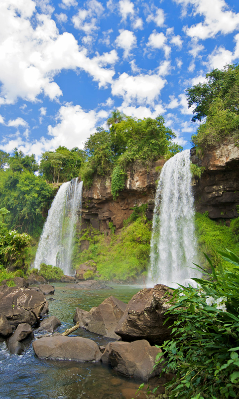 Download mobile wallpaper Waterfalls, Waterfall, Forest, Tree, Earth, Iguazu Falls for free.