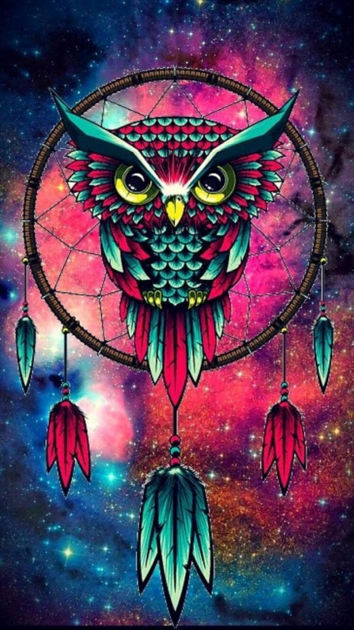 dreamcatcher, artistic, feather, owl, colorful