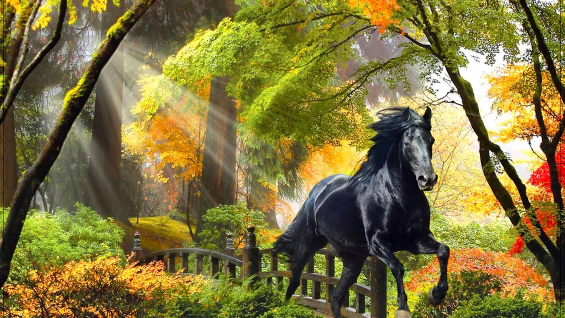 Download mobile wallpaper Animal, Horse for free.