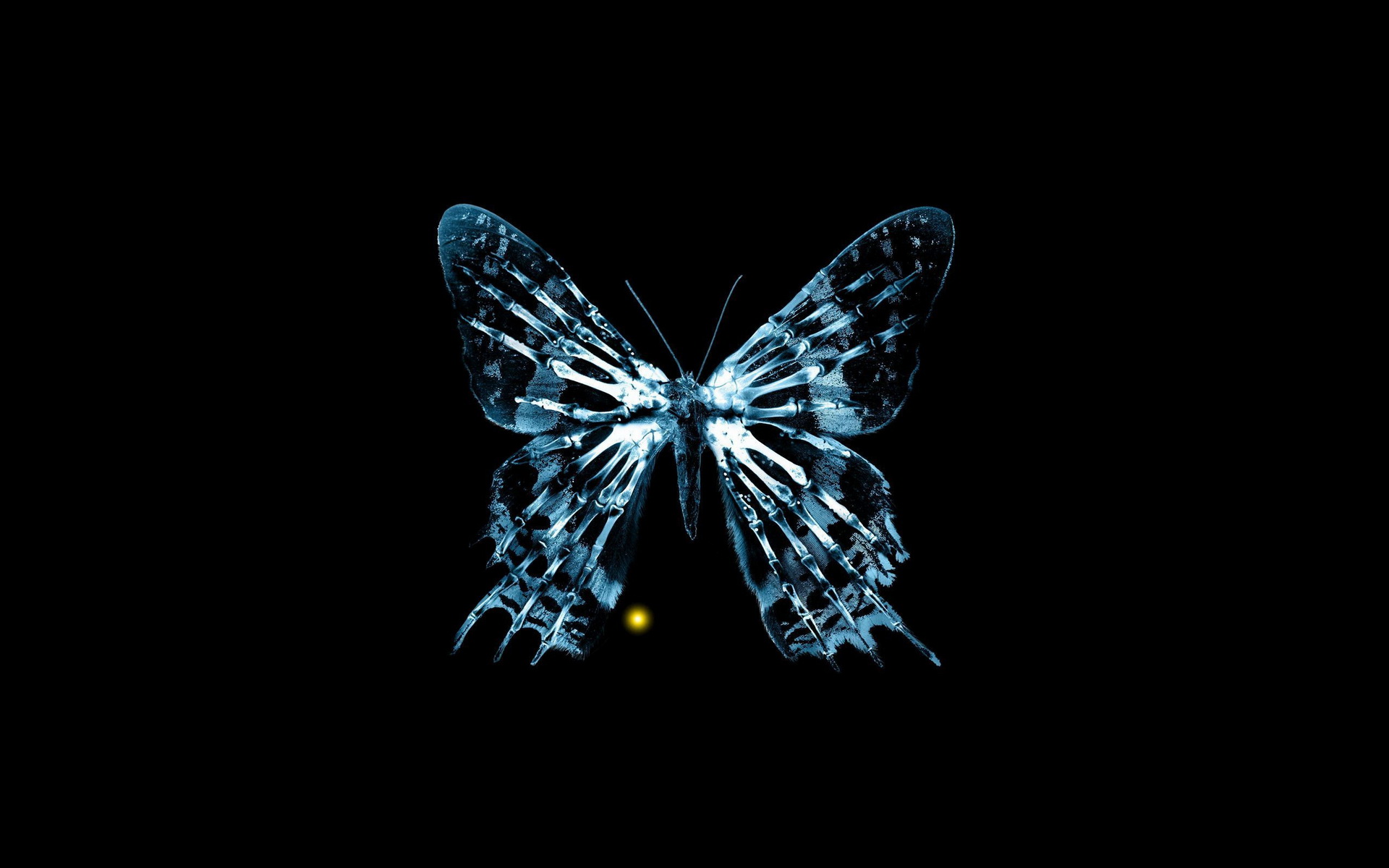 Download mobile wallpaper Butterfly, Artistic, Dark for free.