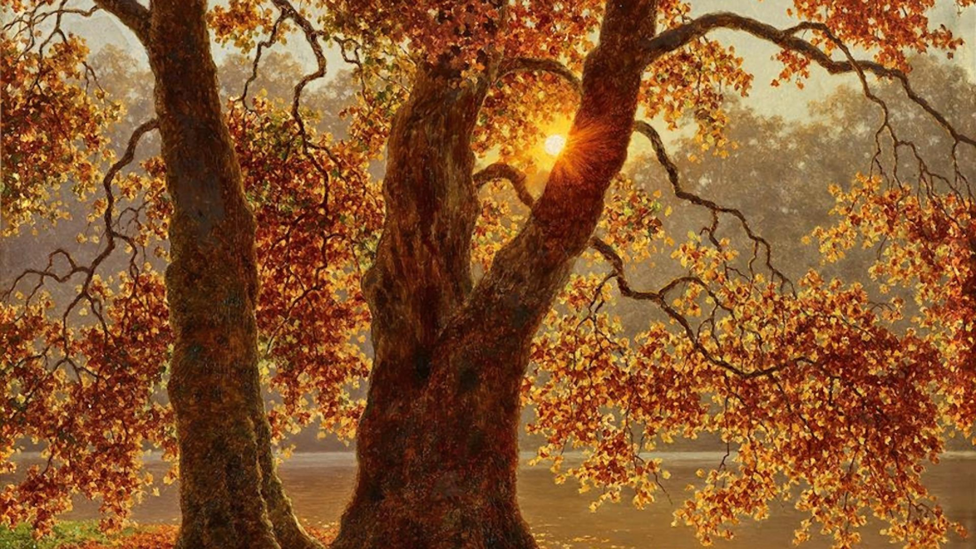 Скачать обои бесплатно Деревья, Закат, Осень, Дерево, Земля/природа картинка на рабочий стол ПК
