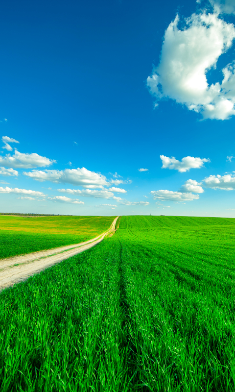 Download mobile wallpaper Nature, Grass, Sky, Horizon, Earth, Field, Cloud, Dirt Road for free.
