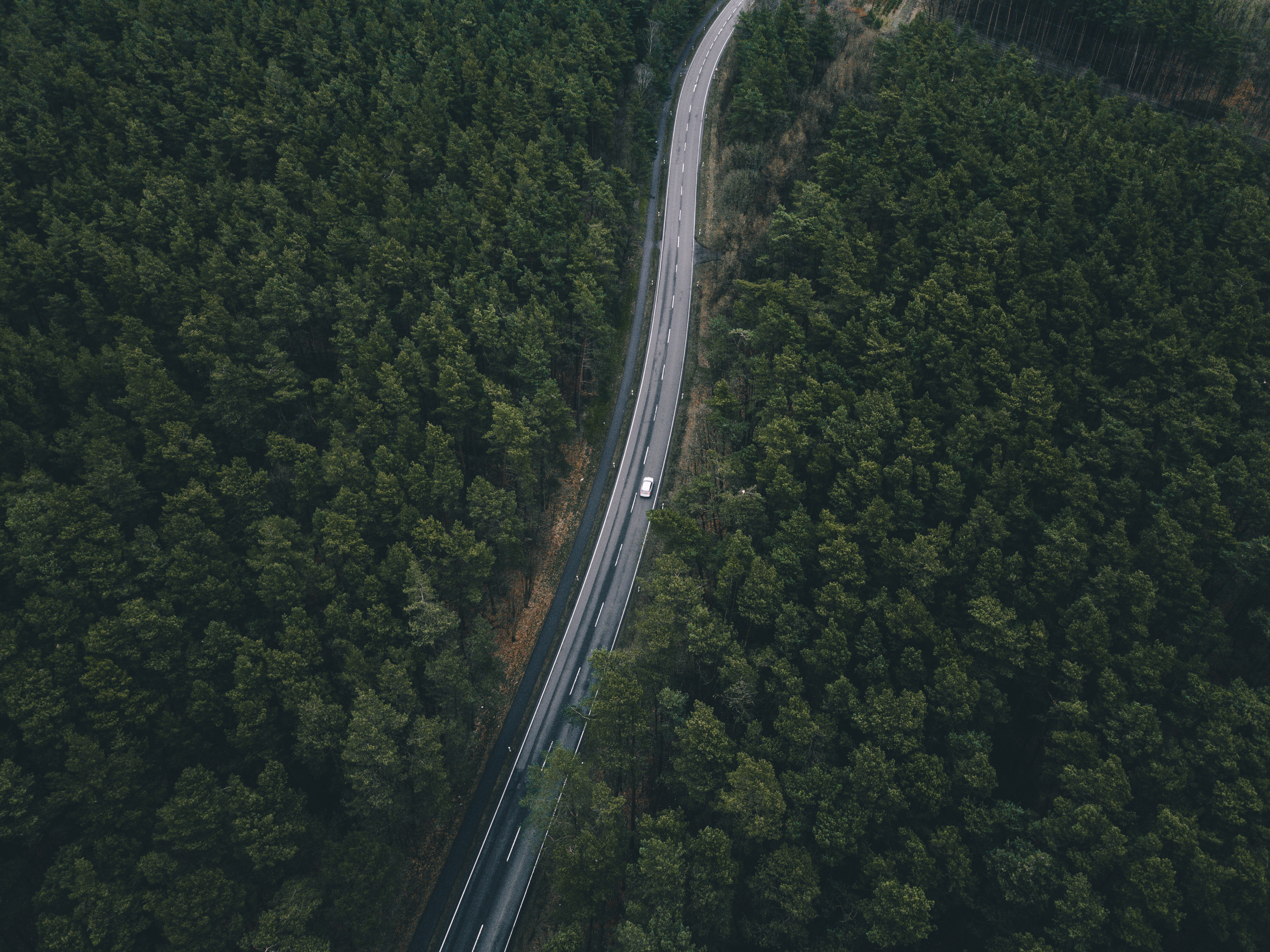 view from above, nature, trees, road Ultra HD, Free 4K, 32K