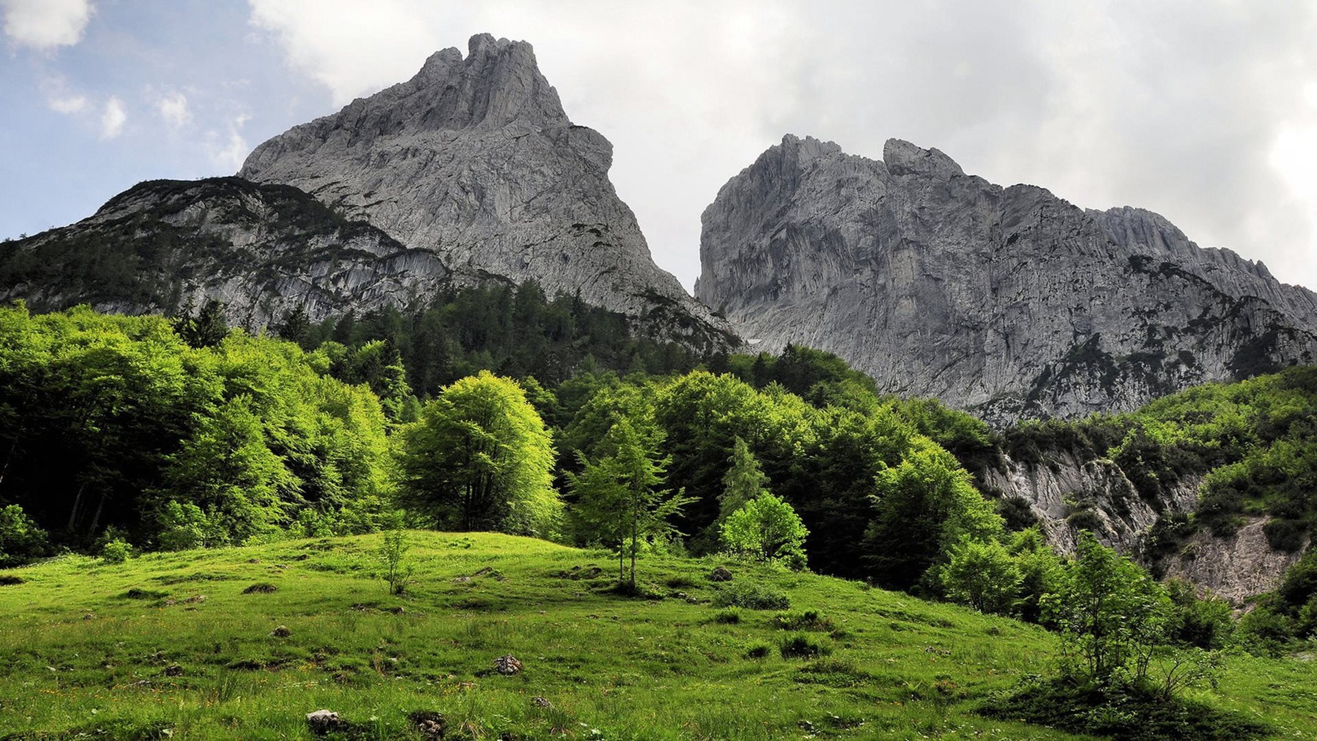無料モバイル壁紙木, 山脈, 風景をダウンロードします。