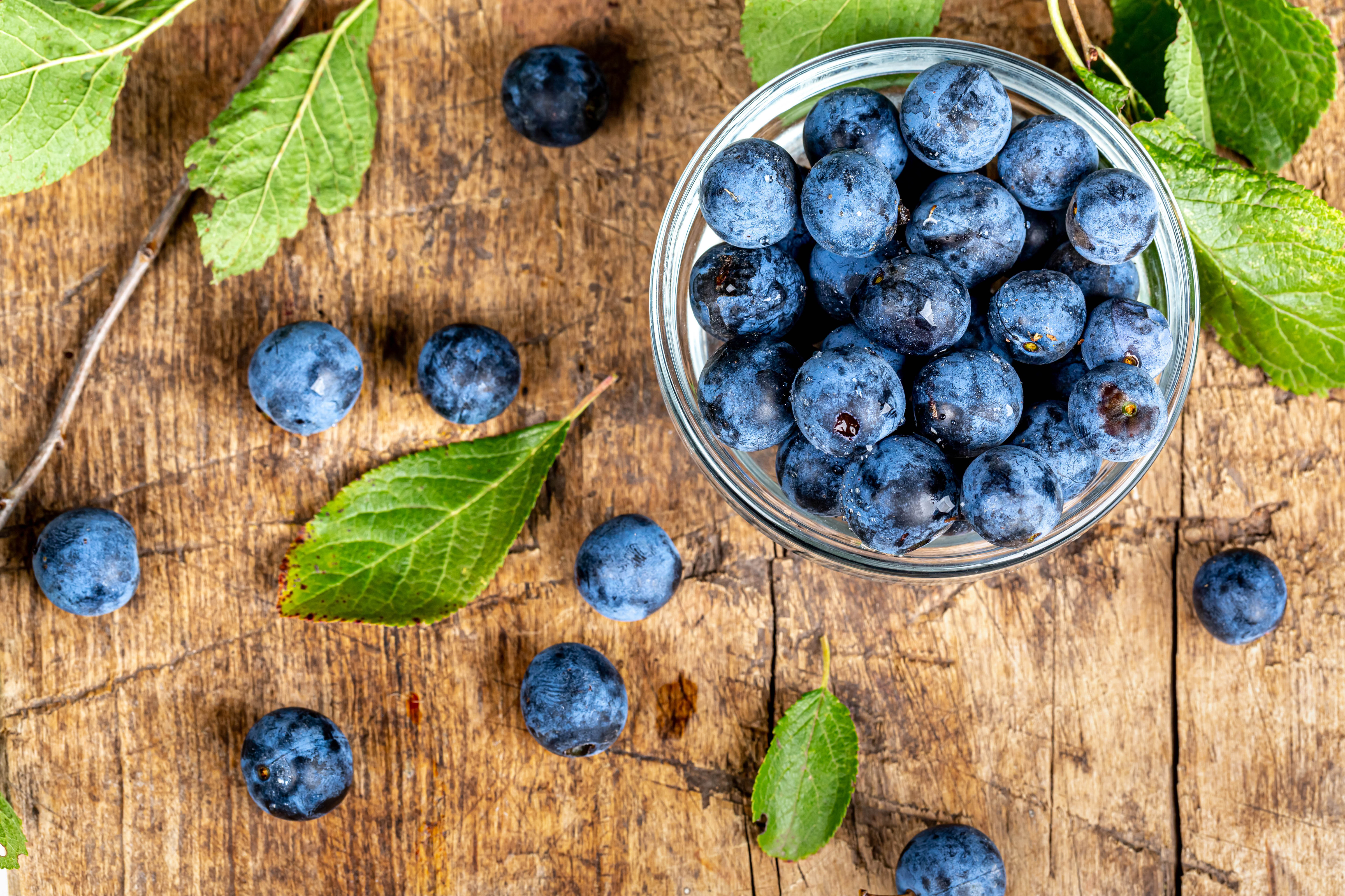 Free download wallpaper Food, Blueberry, Berry, Fruit on your PC desktop