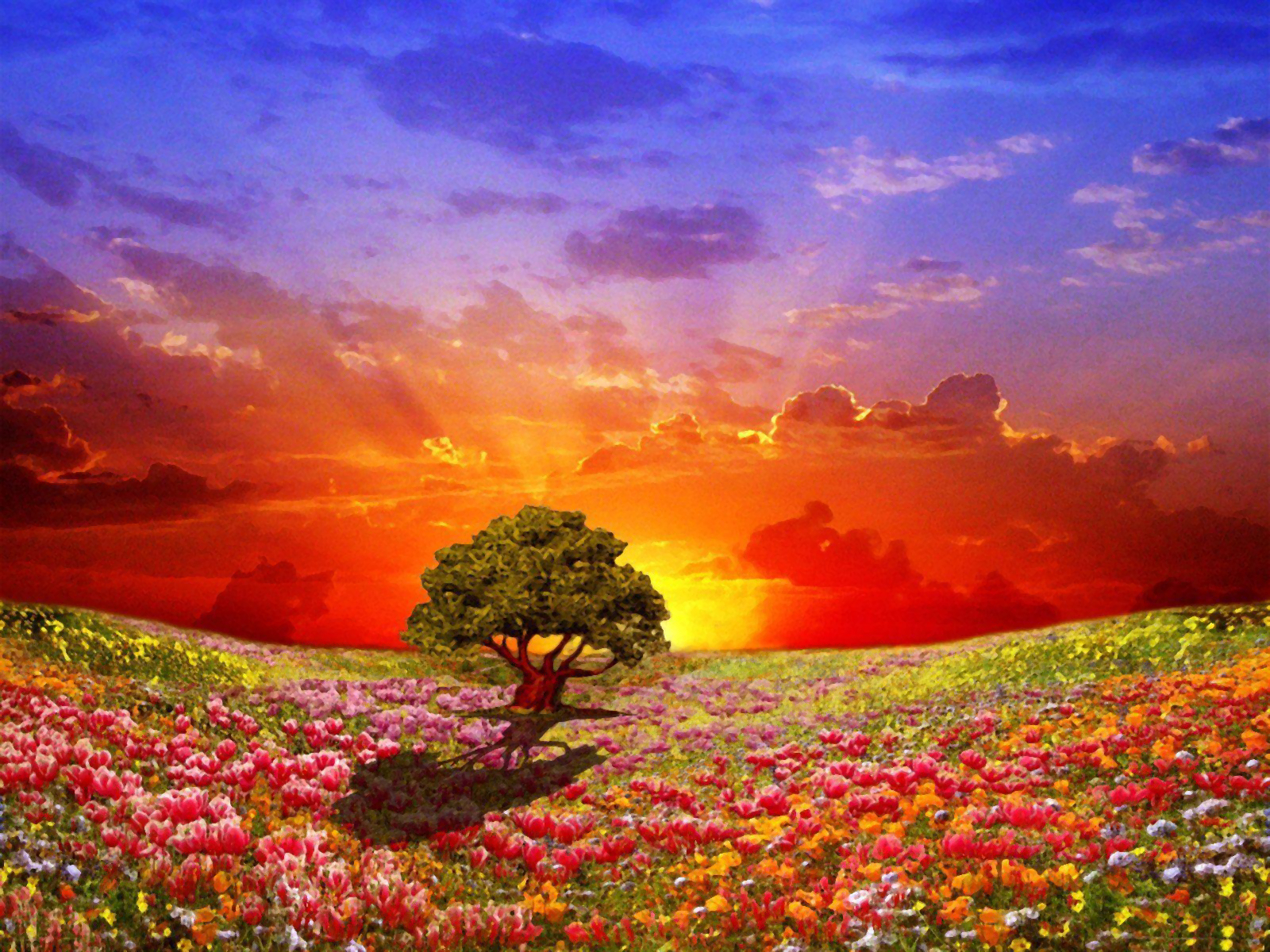 Download mobile wallpaper Landscape, Fantasy, Sunset, Sky, Flower, Tree, Field, Colors, Colorful, Artistic, Tulip for free.