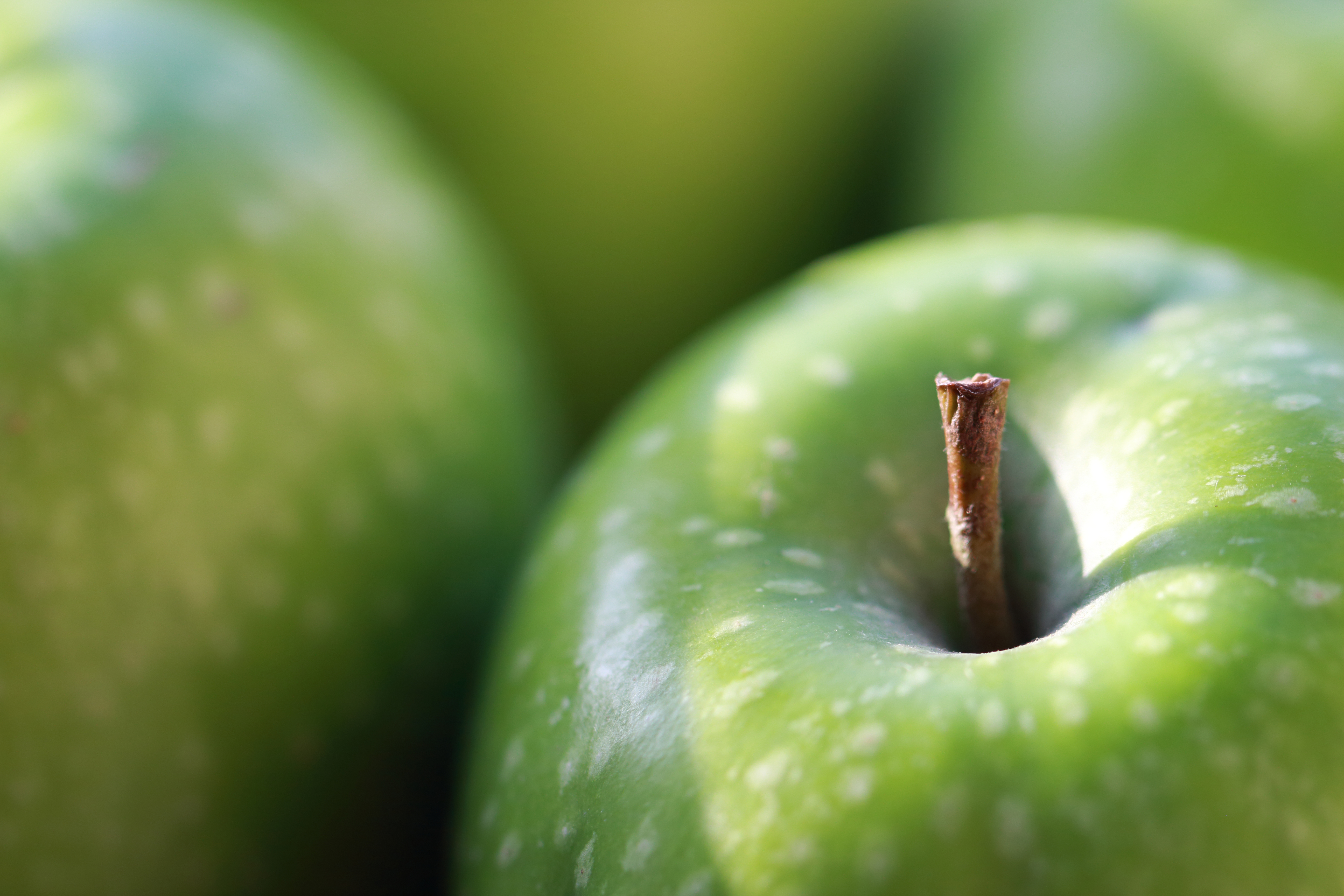 Free download wallpaper Fruits, Food, Apple, Macro, Blur on your PC desktop