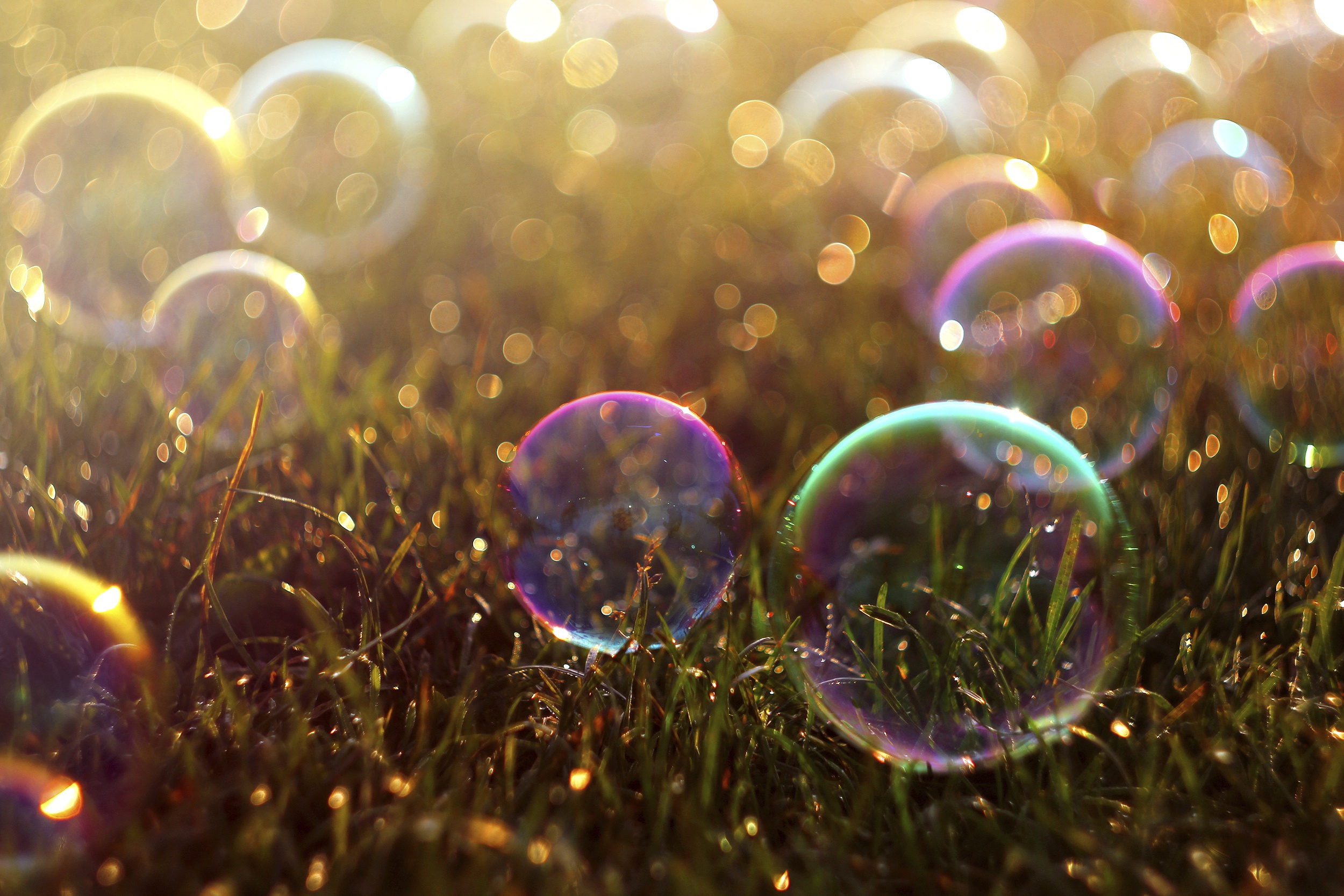 Free download wallpaper Grass, Close Up, Bokeh, Photography, Bubble on your PC desktop