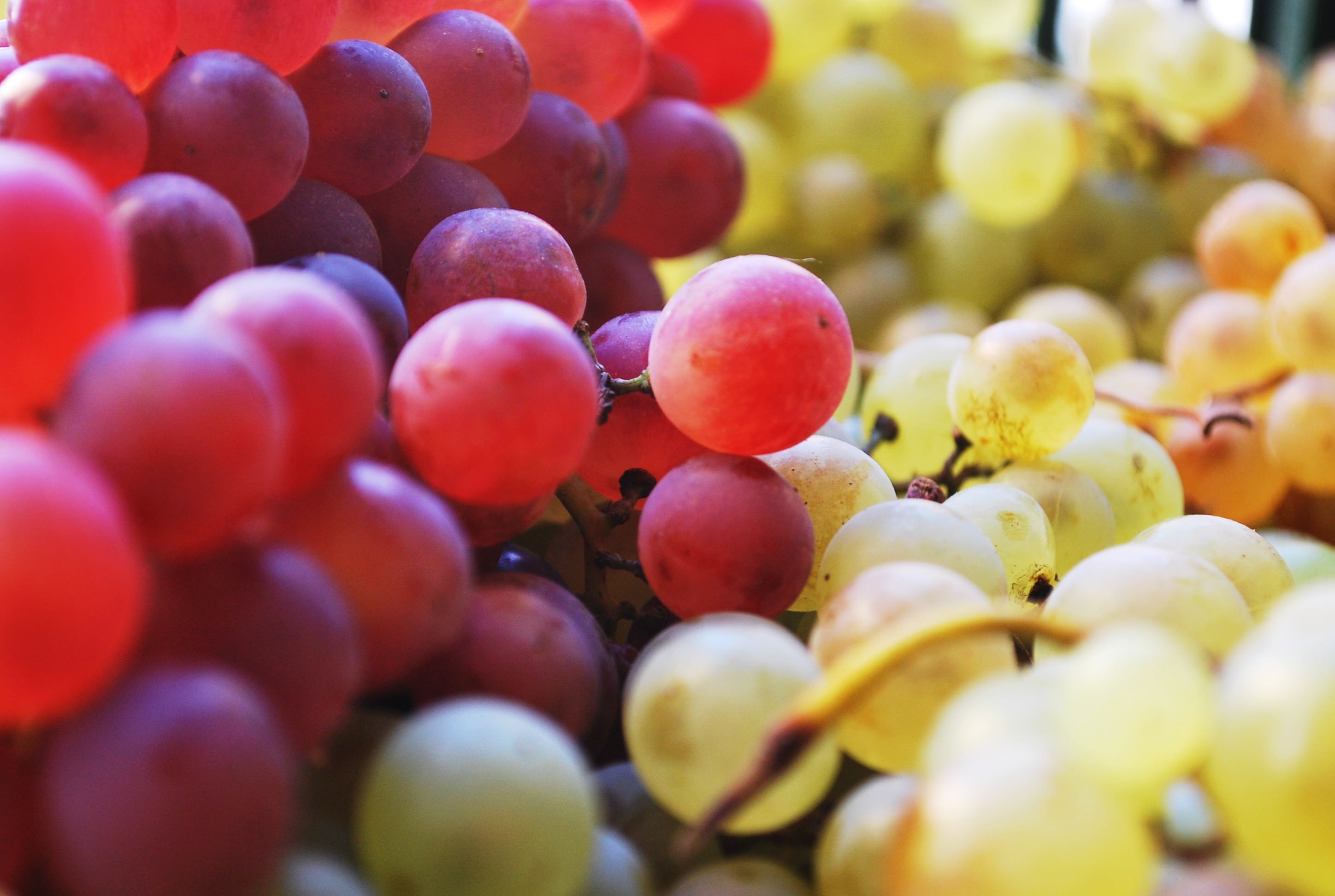 Free download wallpaper Berries, Fruits, Food, Grapes on your PC desktop