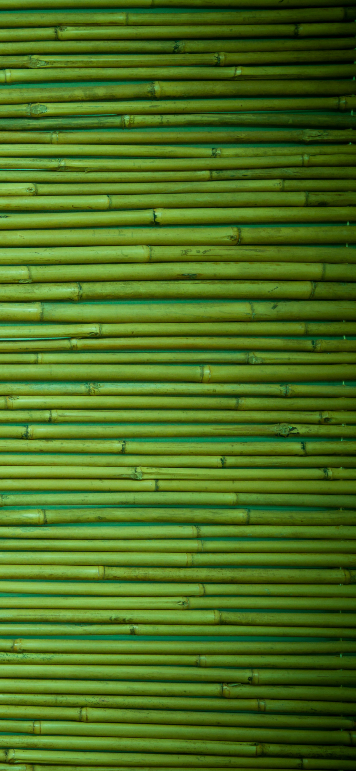 Download mobile wallpaper Wood, Bamboo, Artistic for free.