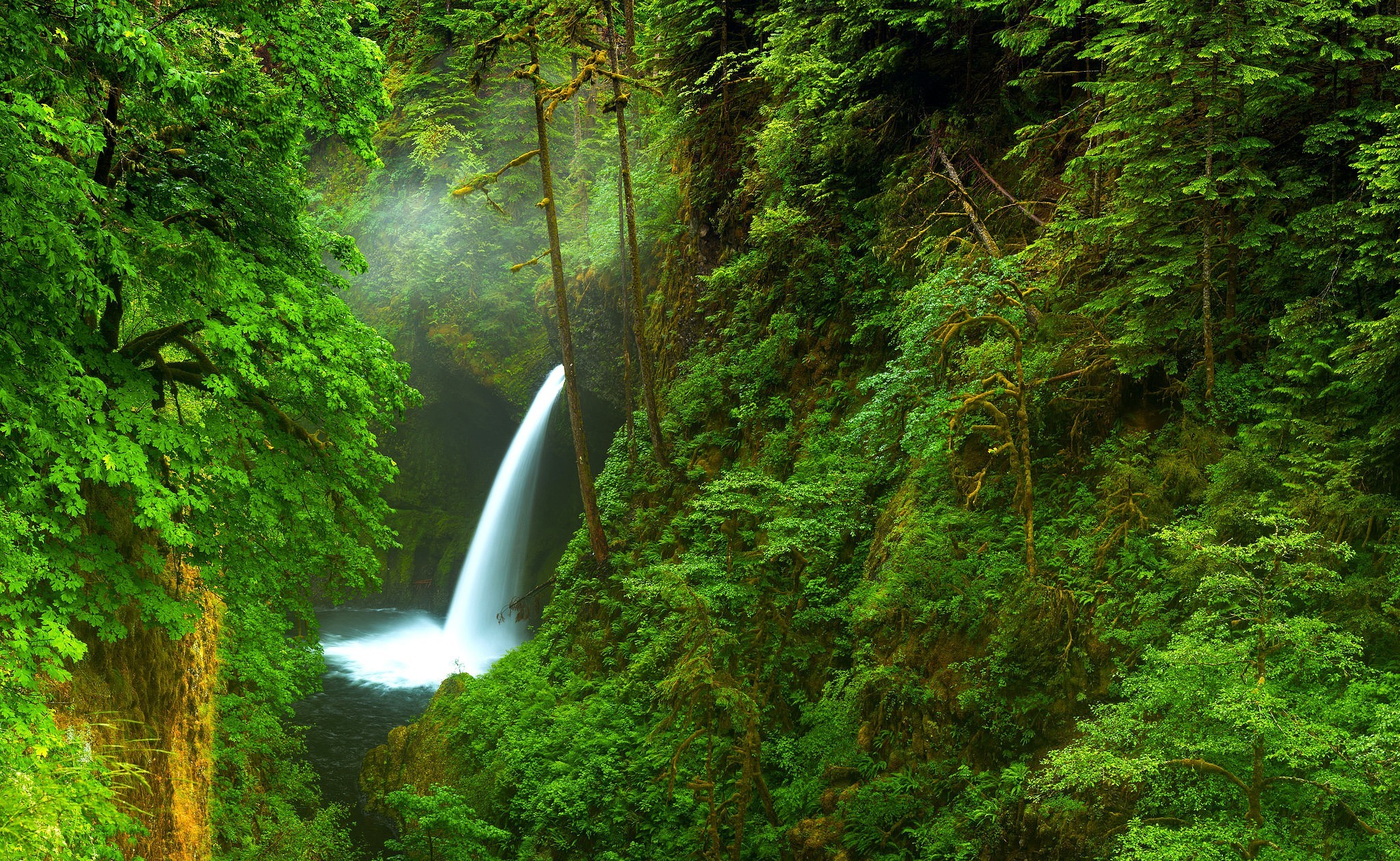 342748 скачать обои лес, водопады, земля/природа, водопад, крик - заставки и картинки бесплатно