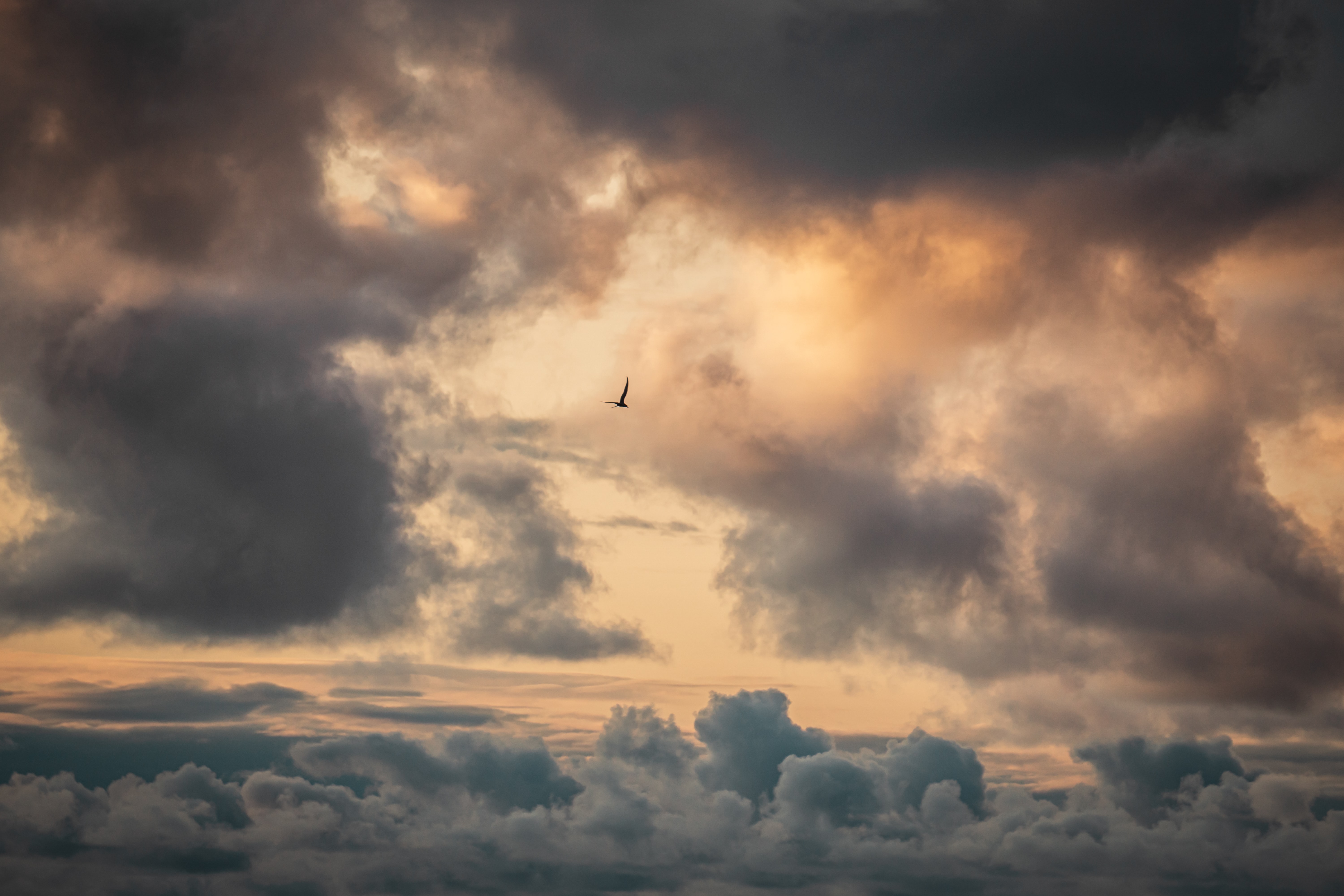 Handy-Wallpaper Natur, Clouds, Sky, Vogel kostenlos herunterladen.