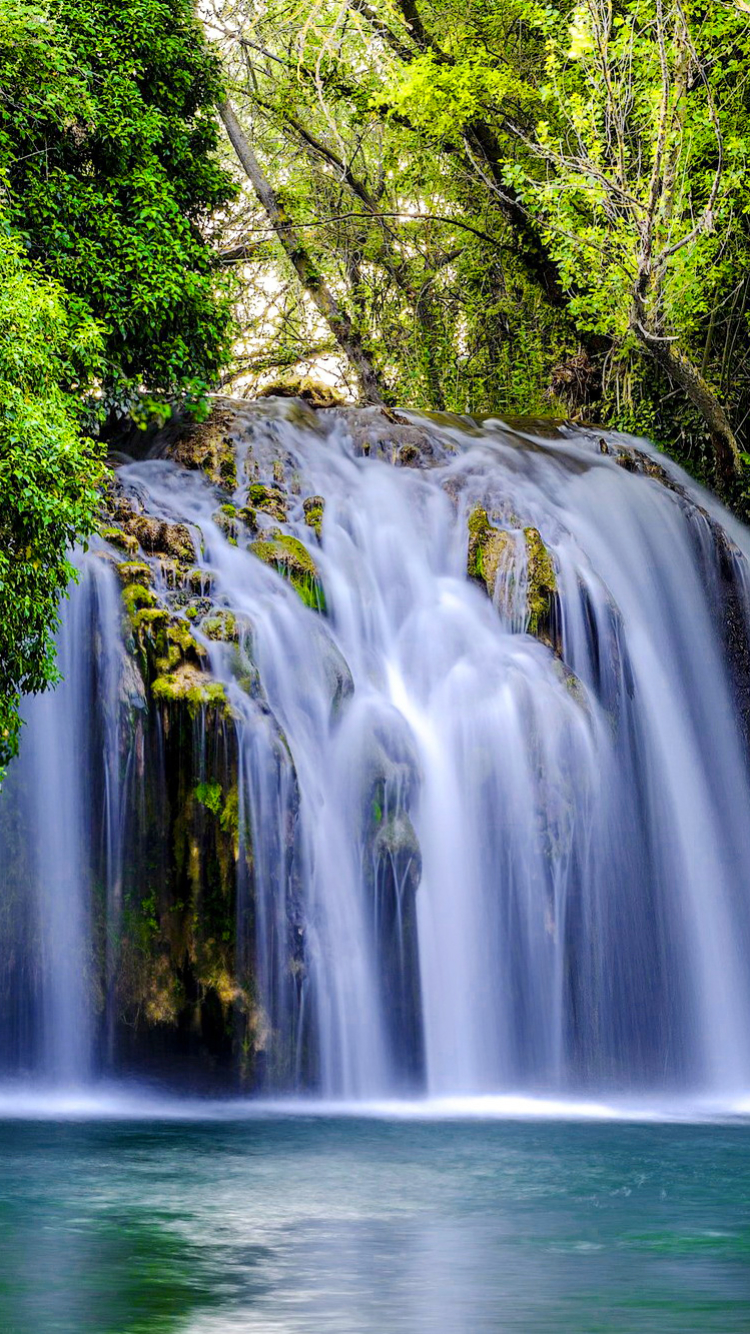 Скачать картинку Водопады, Водопад, Лес, Земля, Зеленый, Земля/природа в телефон бесплатно.