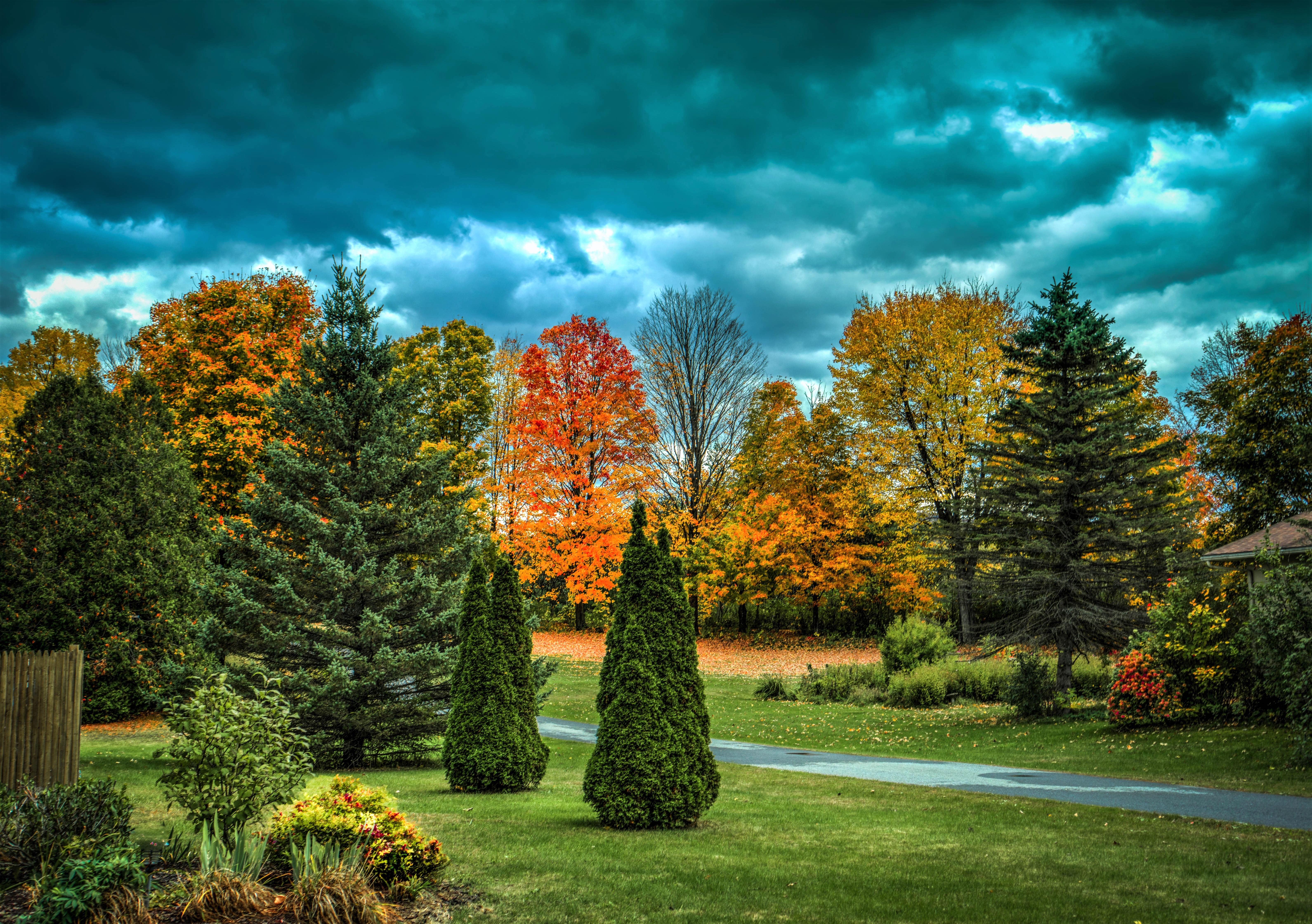 Free download wallpaper Sky, Park, Tree, Fall, Cloud, Photography on your PC desktop