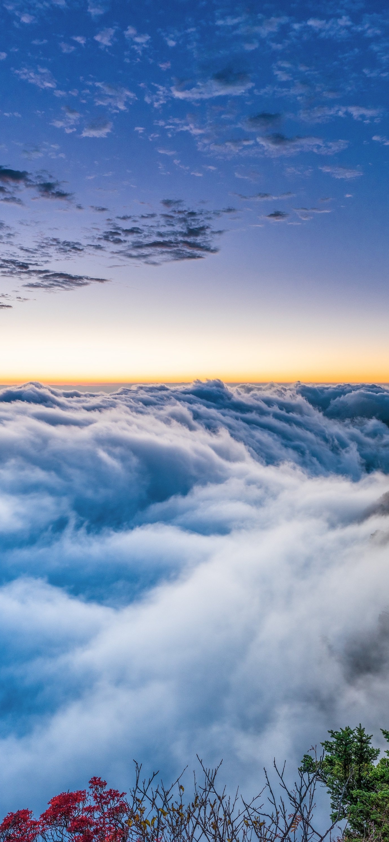 Download mobile wallpaper Sky, Horizon, Earth, Cloud, Sea Of Clouds for free.