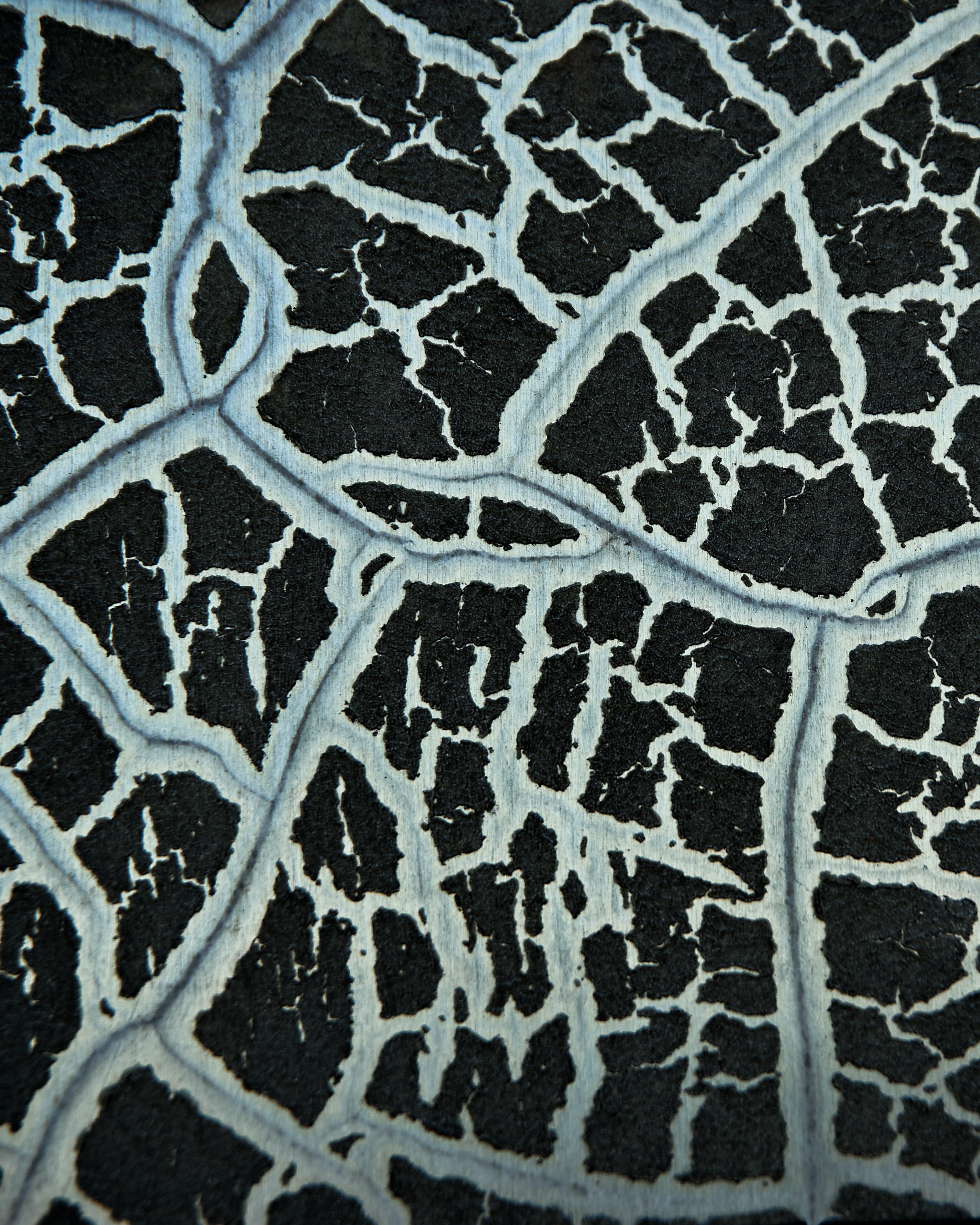 vertical wallpaper texture, textures, surface, cracks, crack