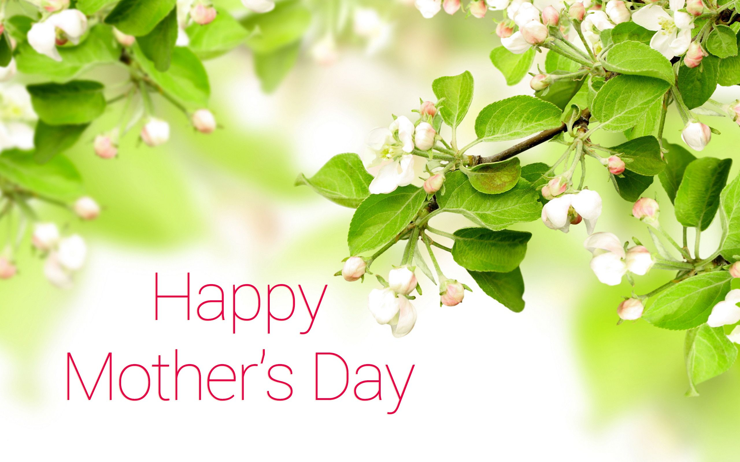 Free download wallpaper Flower, Holiday, Branch, Blossom, Mother's Day on your PC desktop