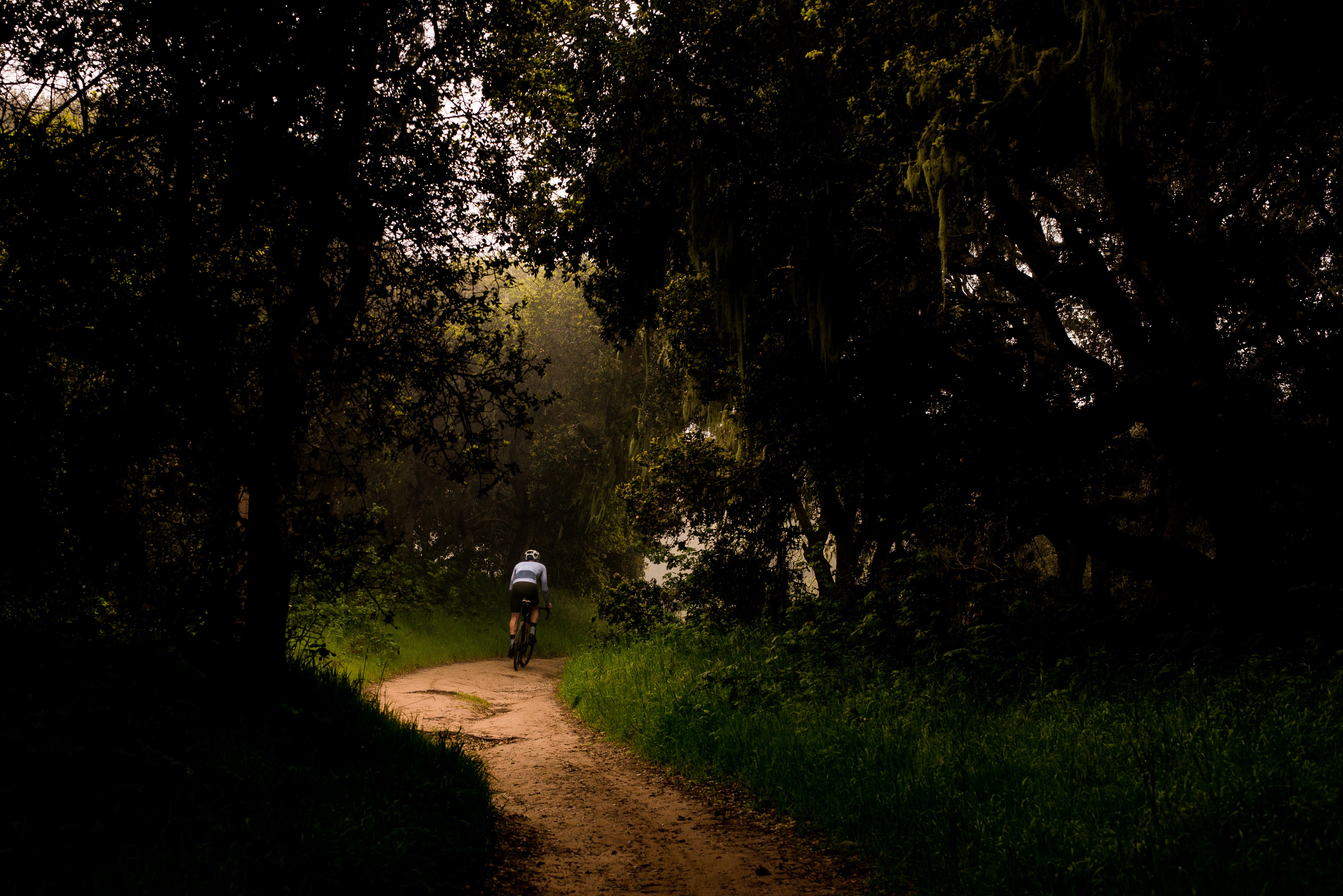 bicycle, cyclist, dark, trees, path cellphone