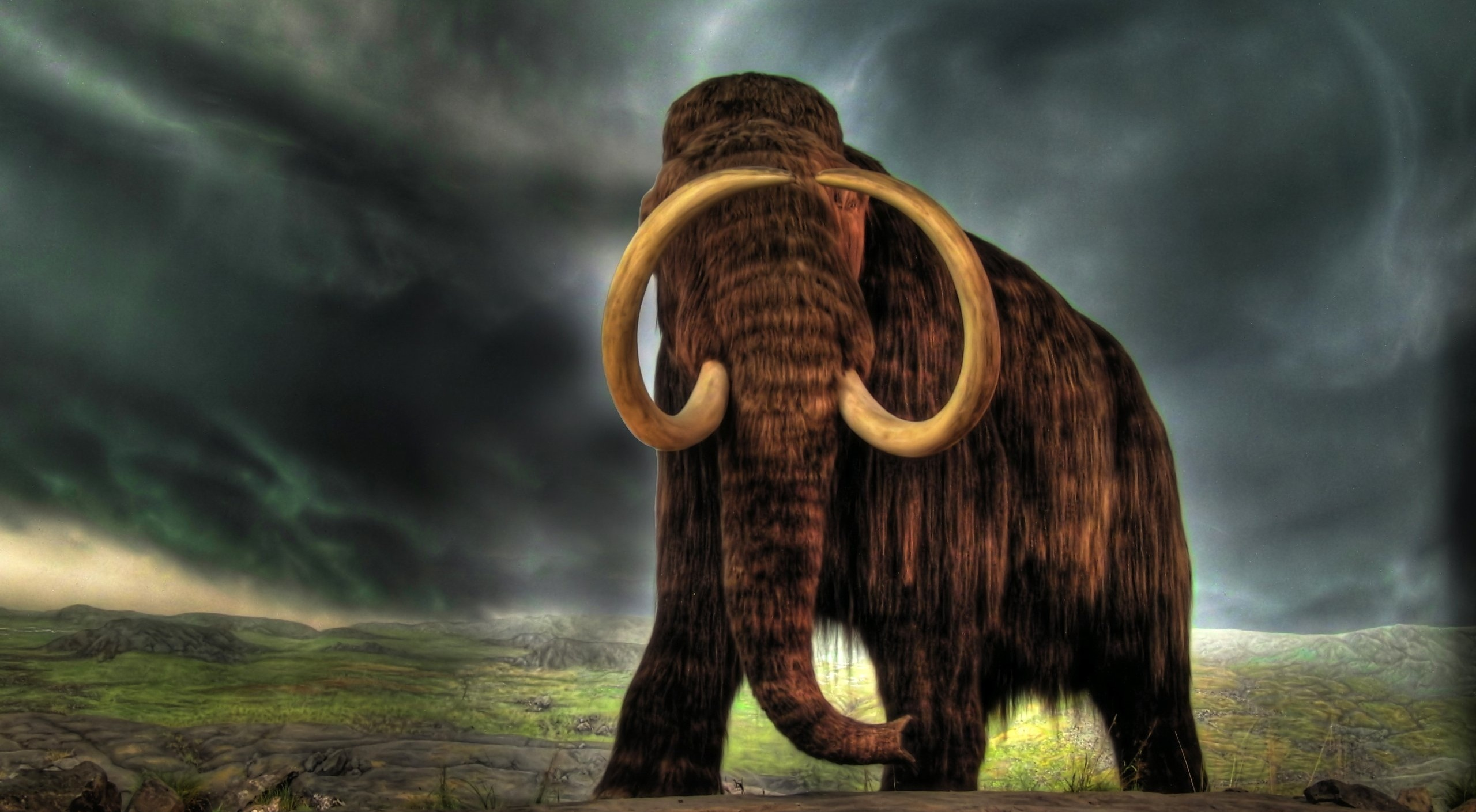 animal, mammoth, extinct, giant, pliocene, tusk