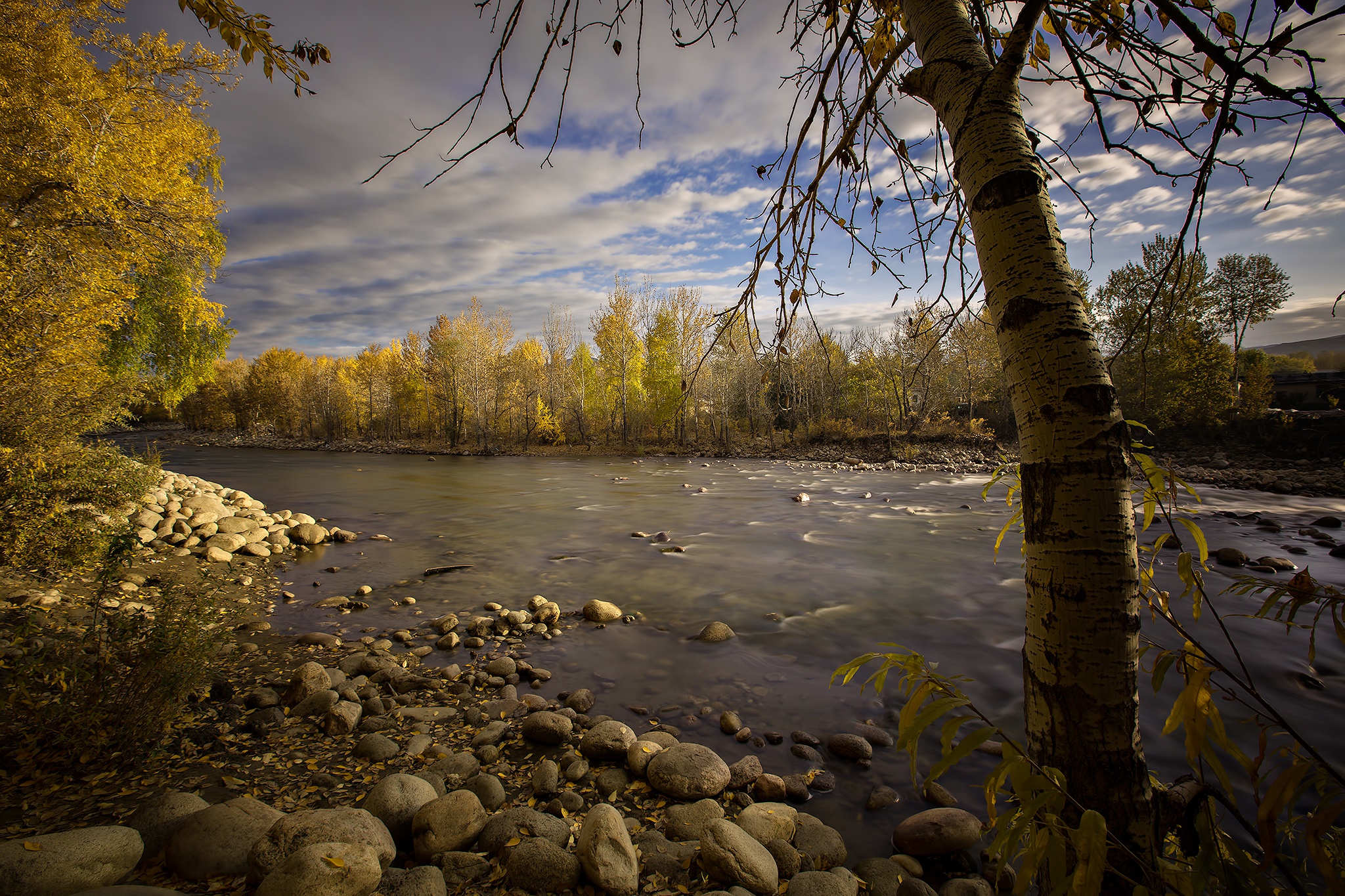 Free download wallpaper Tree, Fall, Earth, River on your PC desktop