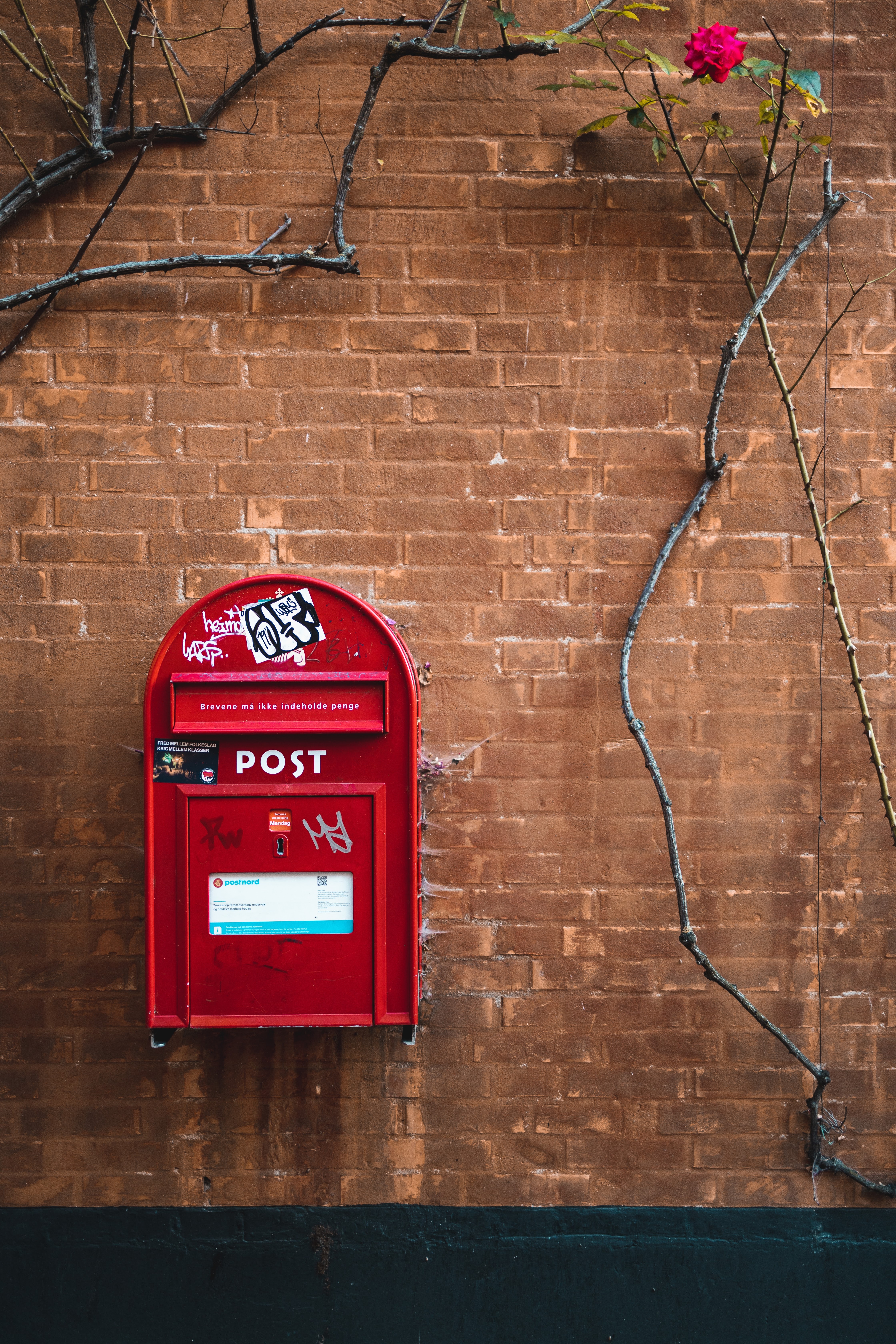 wall, miscellaneous, brick wall, miscellanea, box, ivy, post office, mail